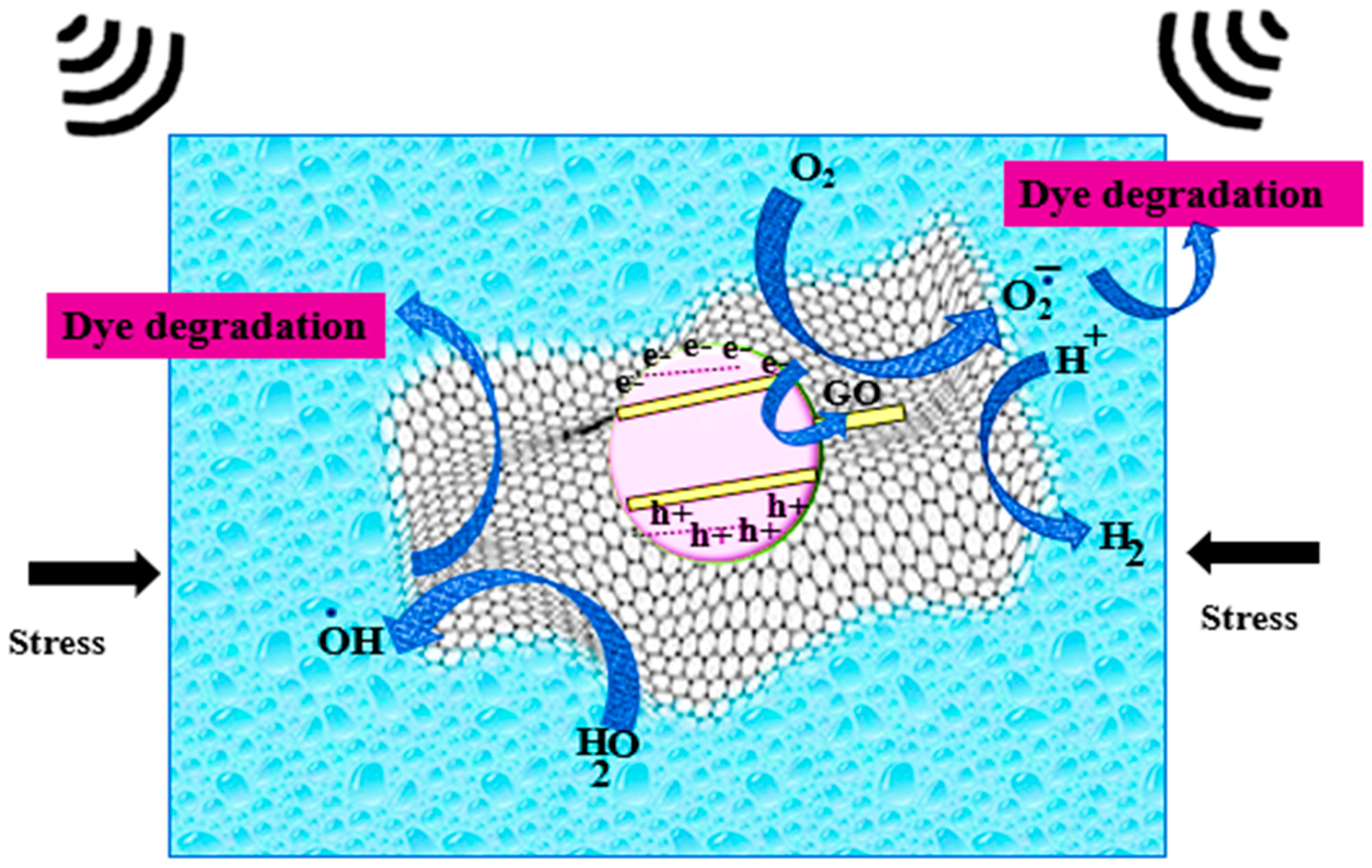 Polymers 16 00699 g002