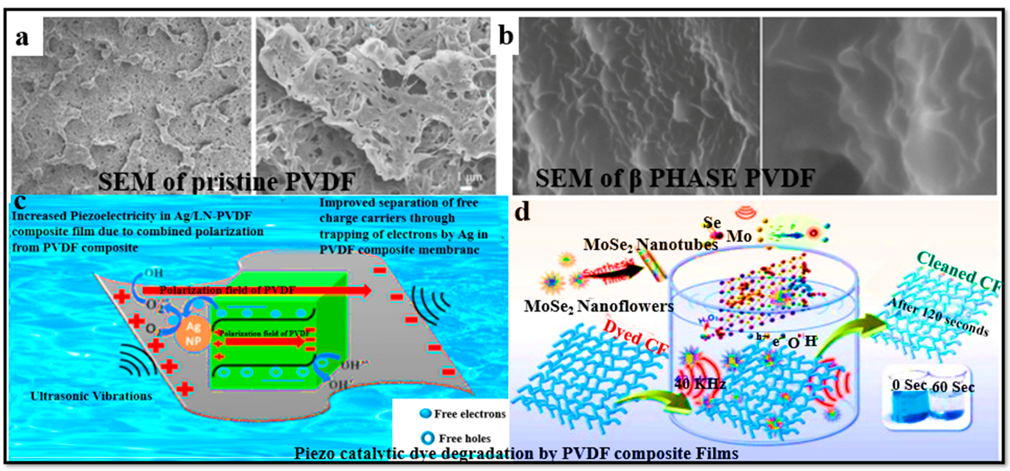 Polymers 16 00699 g004