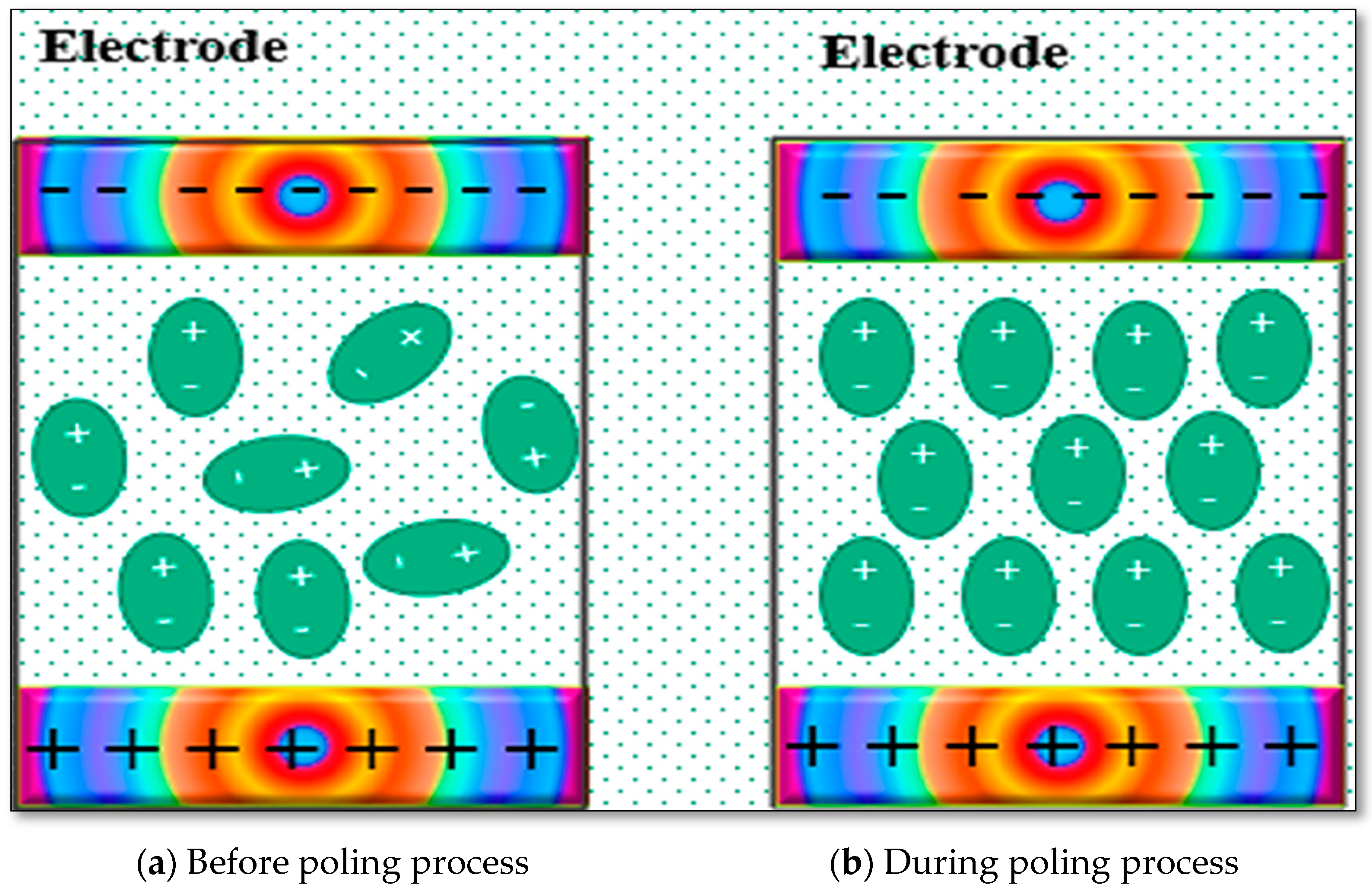 Polymers 16 00699 g007