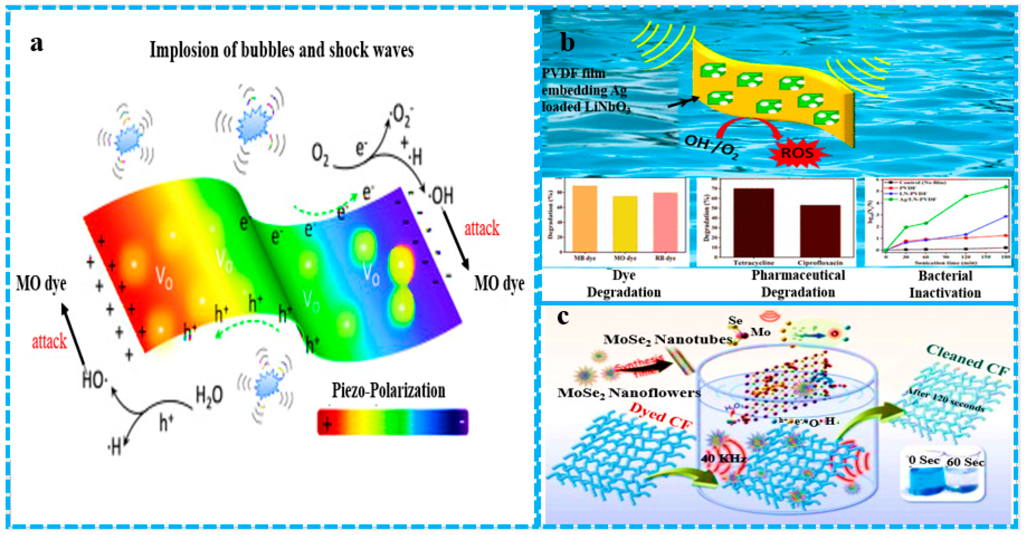 Polymers 16 00699 g010