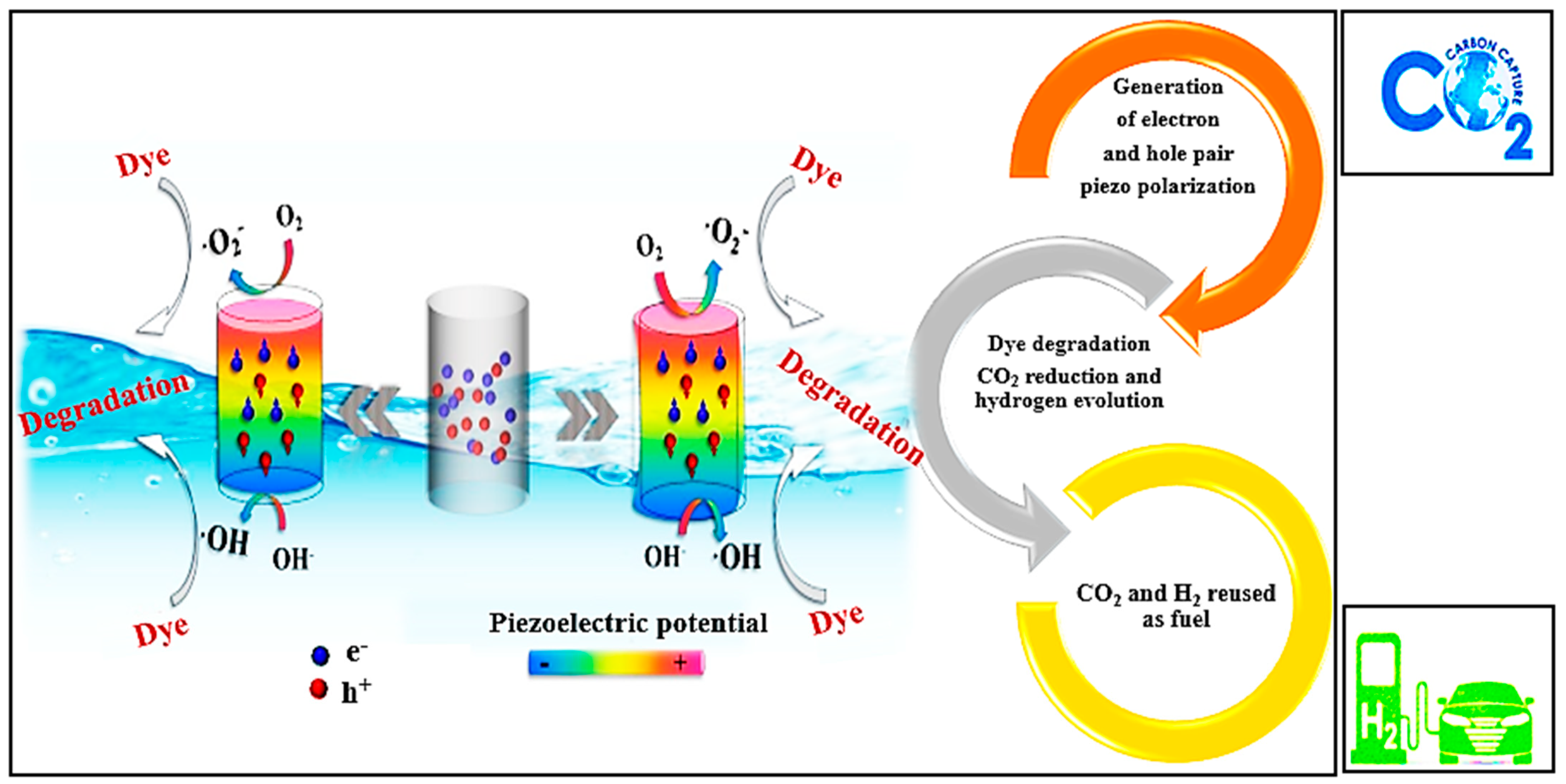 Polymers 16 00699 g012