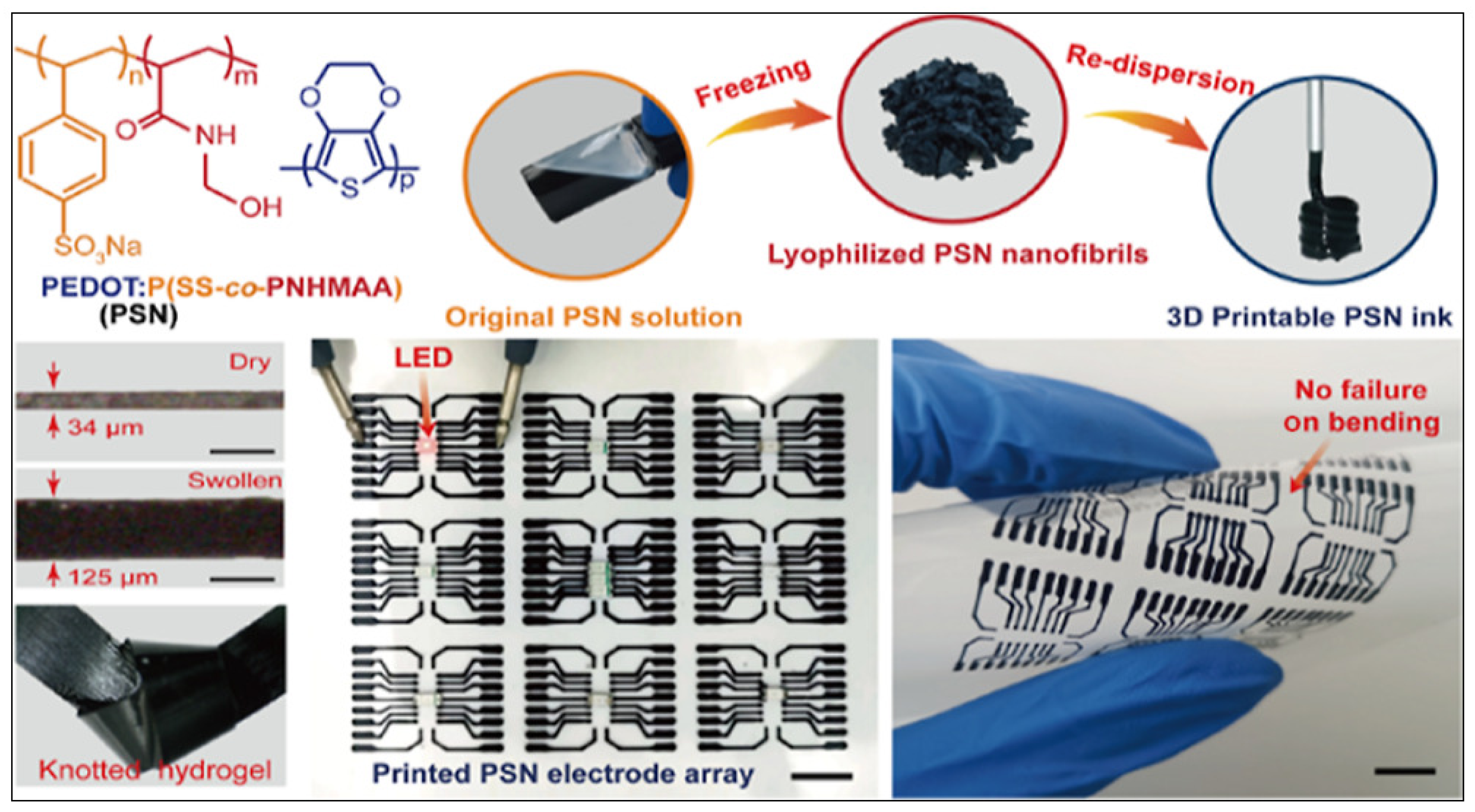 Polymers 16 00700 g012