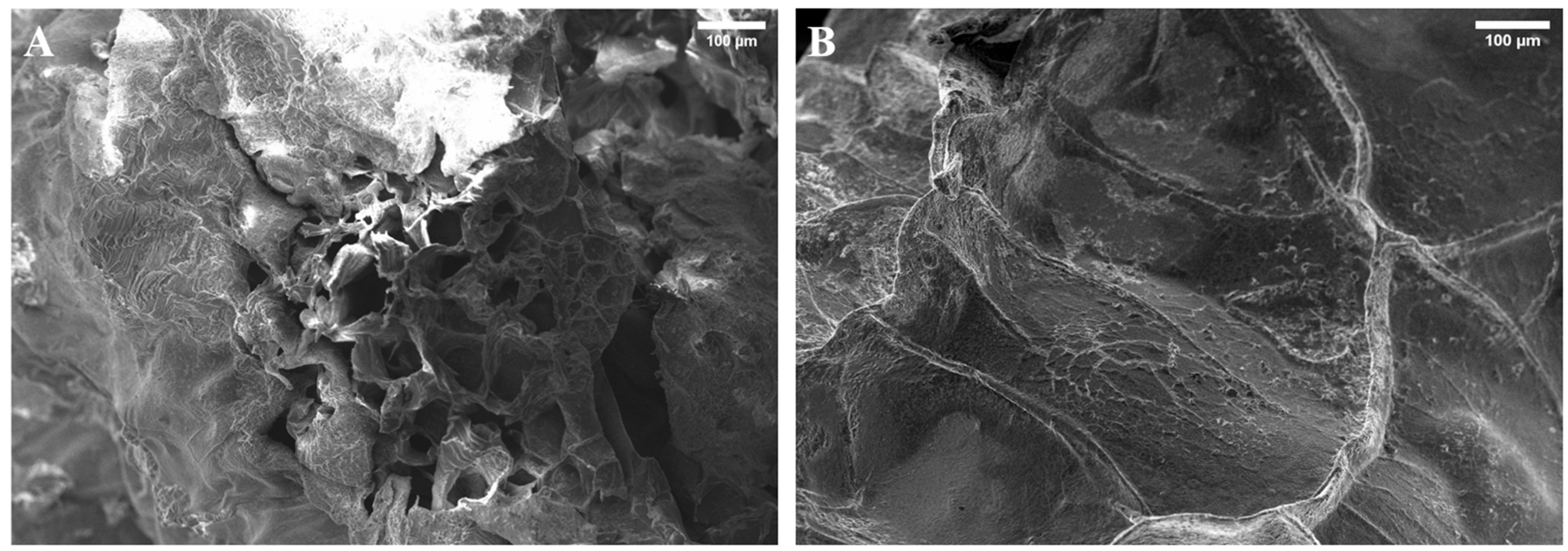 Polymers 16 00702 g006