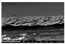 Polymers 16 00703 i001