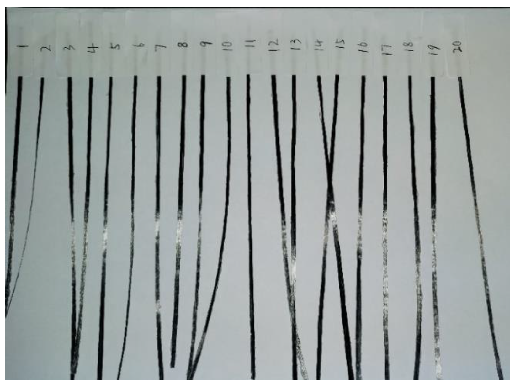 Polymers 16 00704 g010