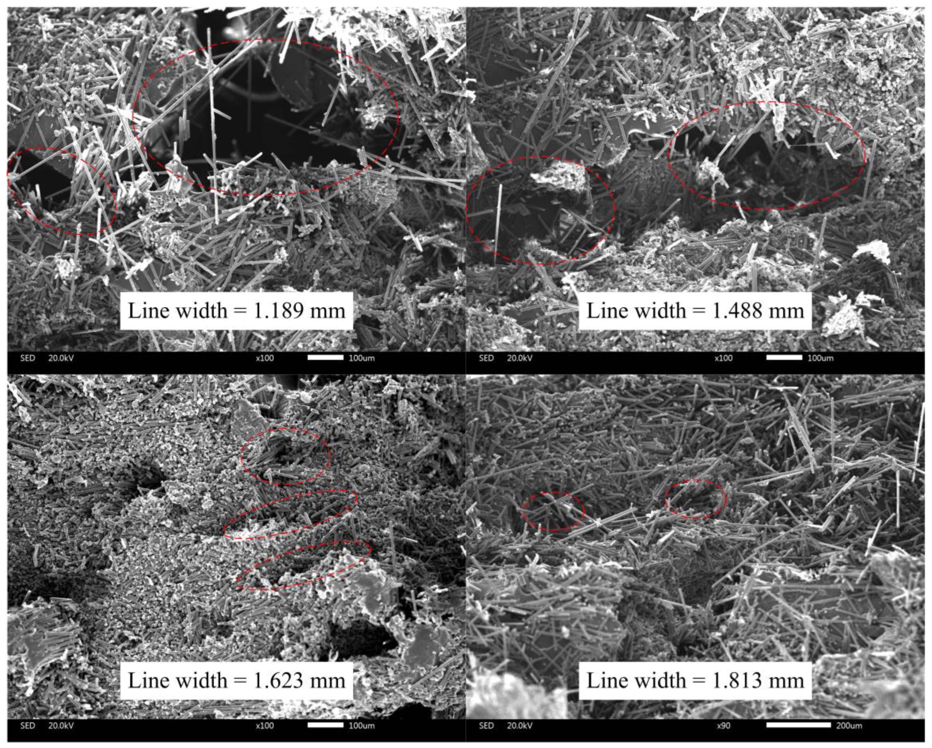 Polymers 16 00704 g014