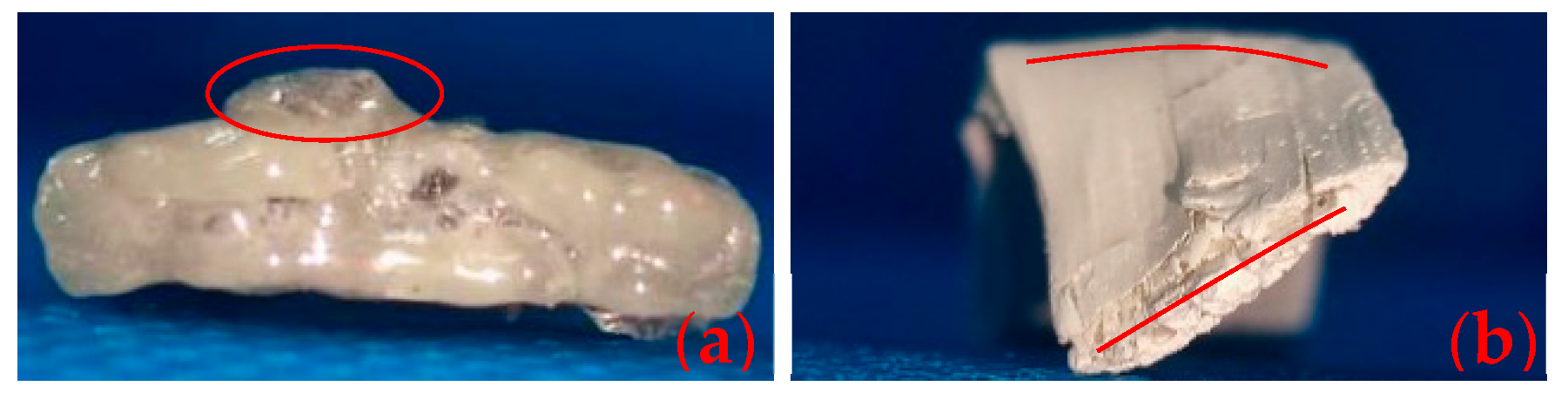 Polymers 16 00708 g004