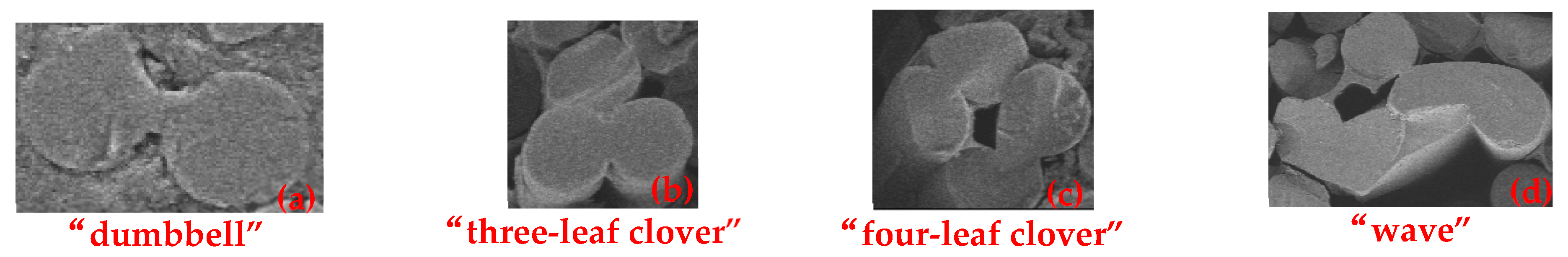 Polymers 16 00708 g021