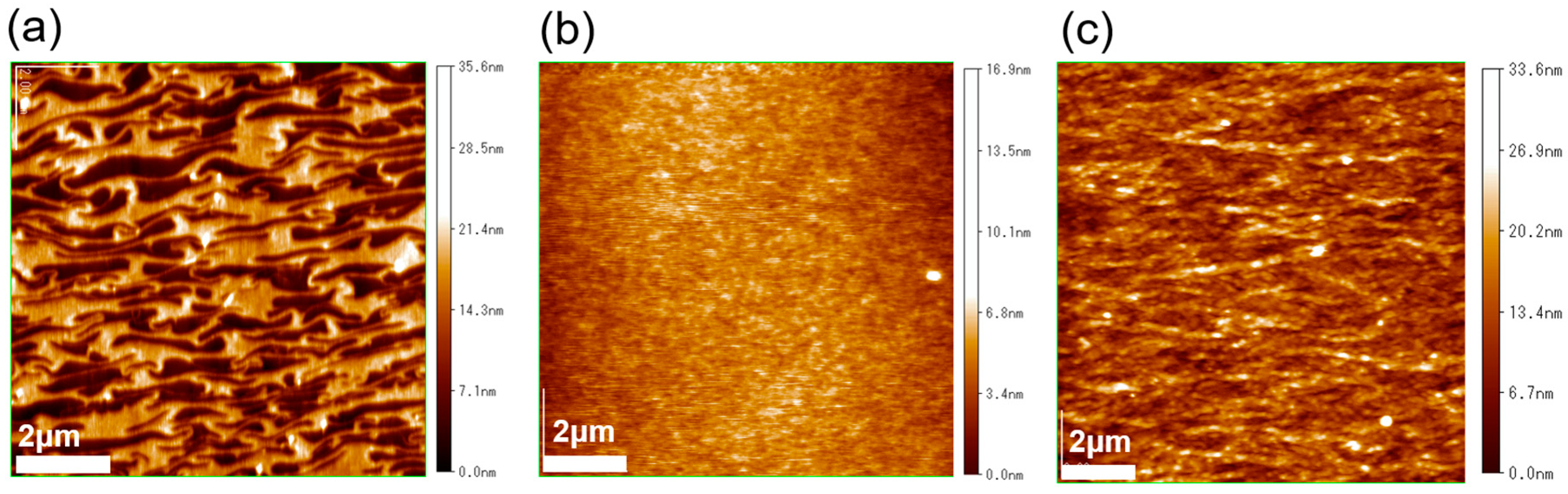 Polymers 16 00710 g003