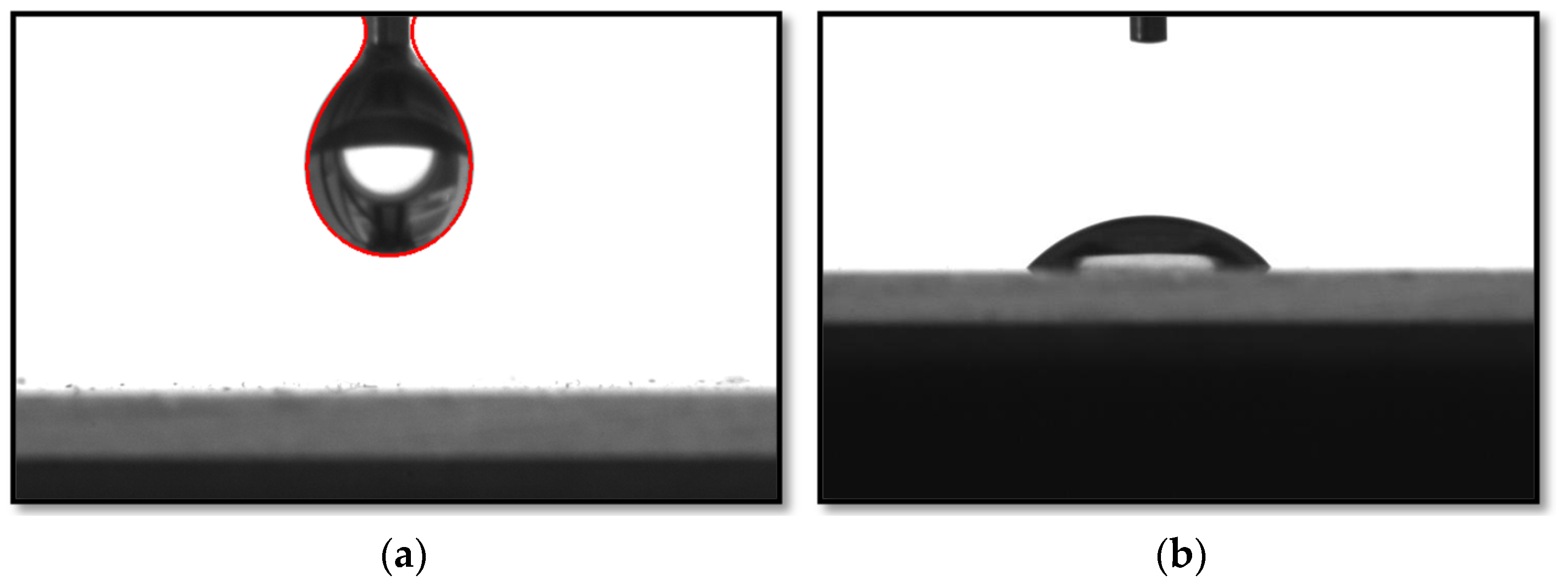 Polymers 16 00714 g008