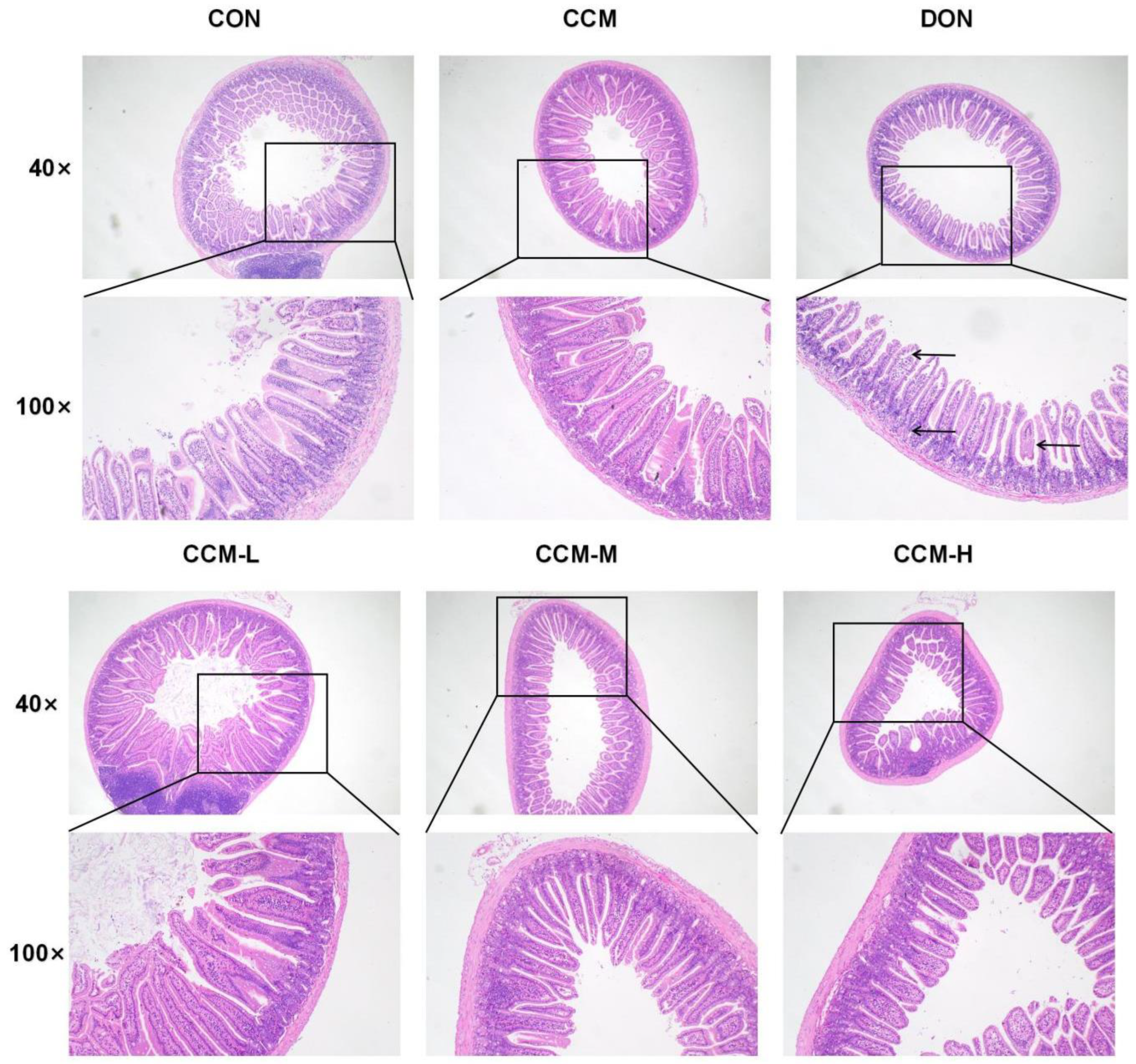 Polymers 16 00715 g007