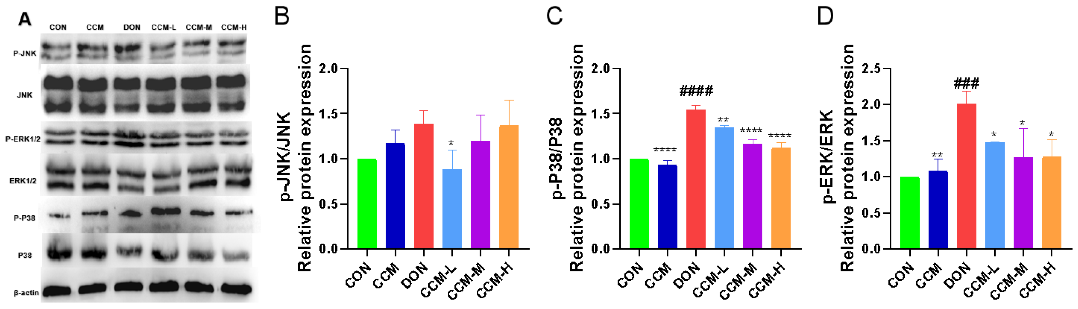 Polymers 16 00715 g009
