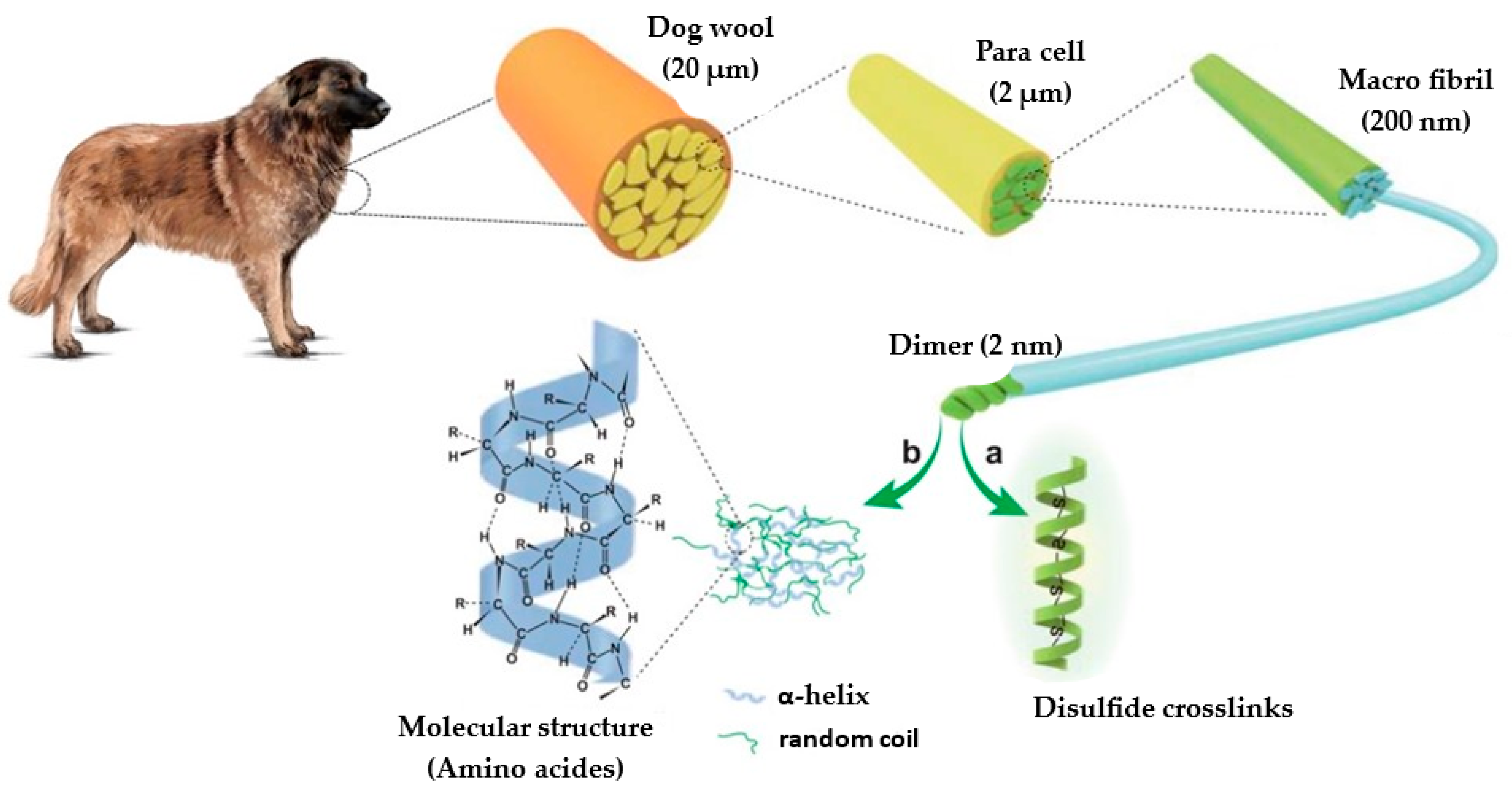 Polymers 16 00718 g001