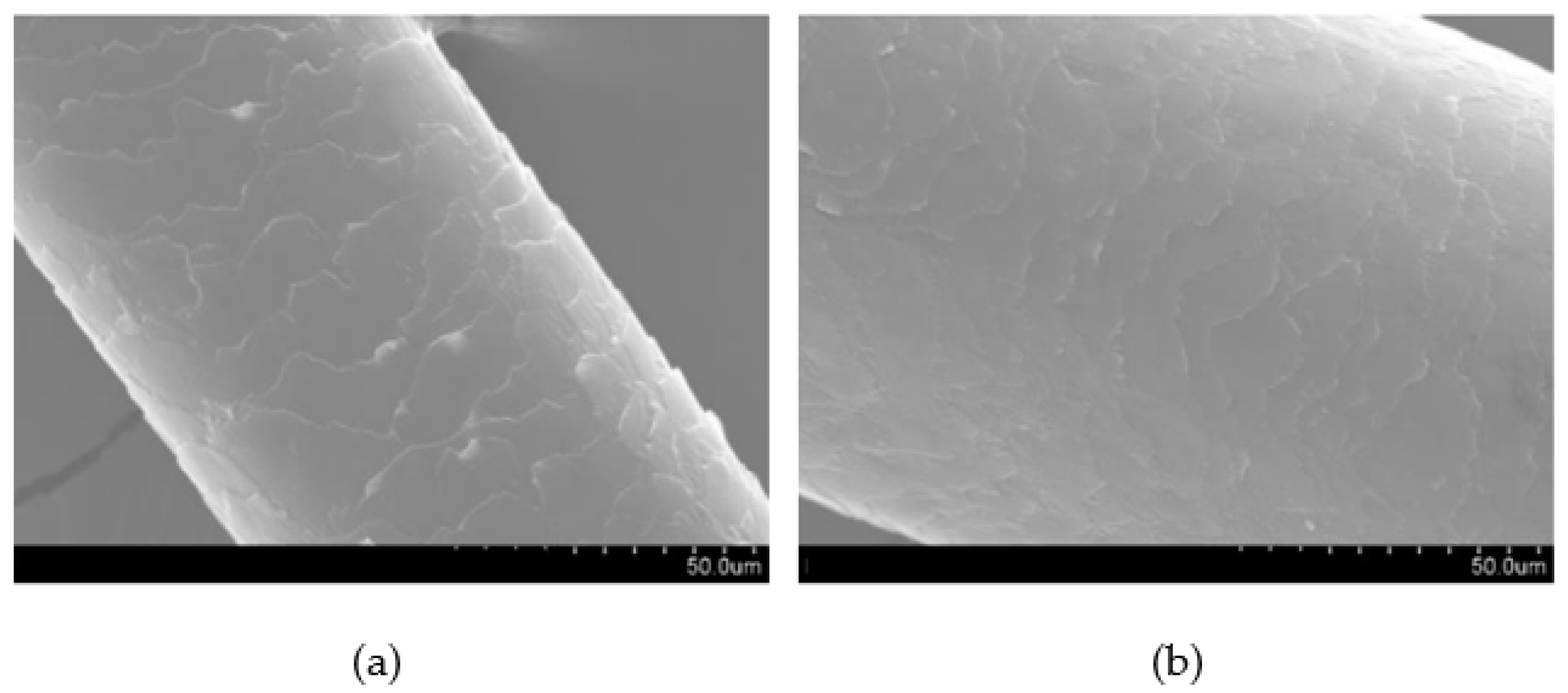 Polymers 16 00718 g007