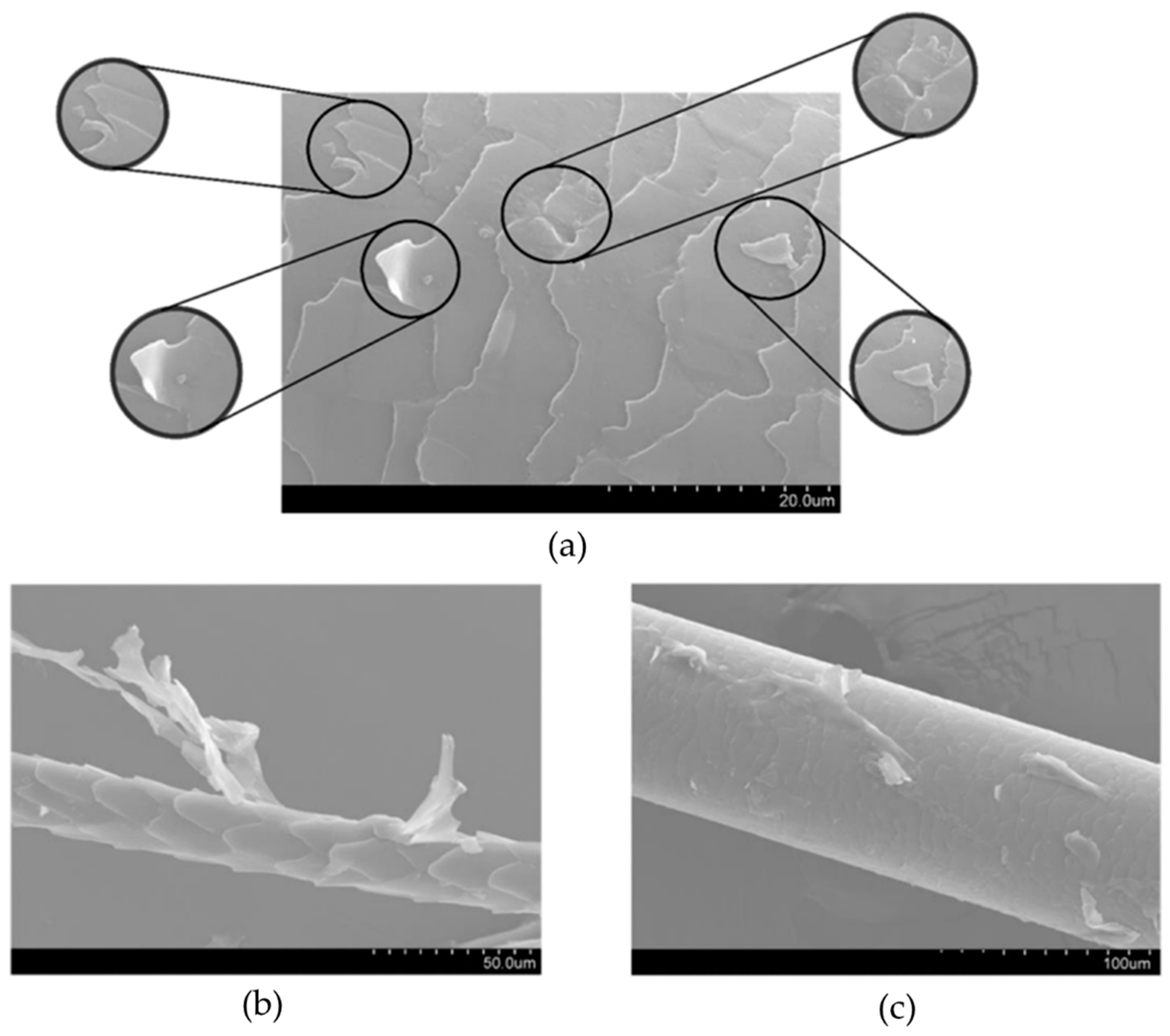 Polymers 16 00718 g008