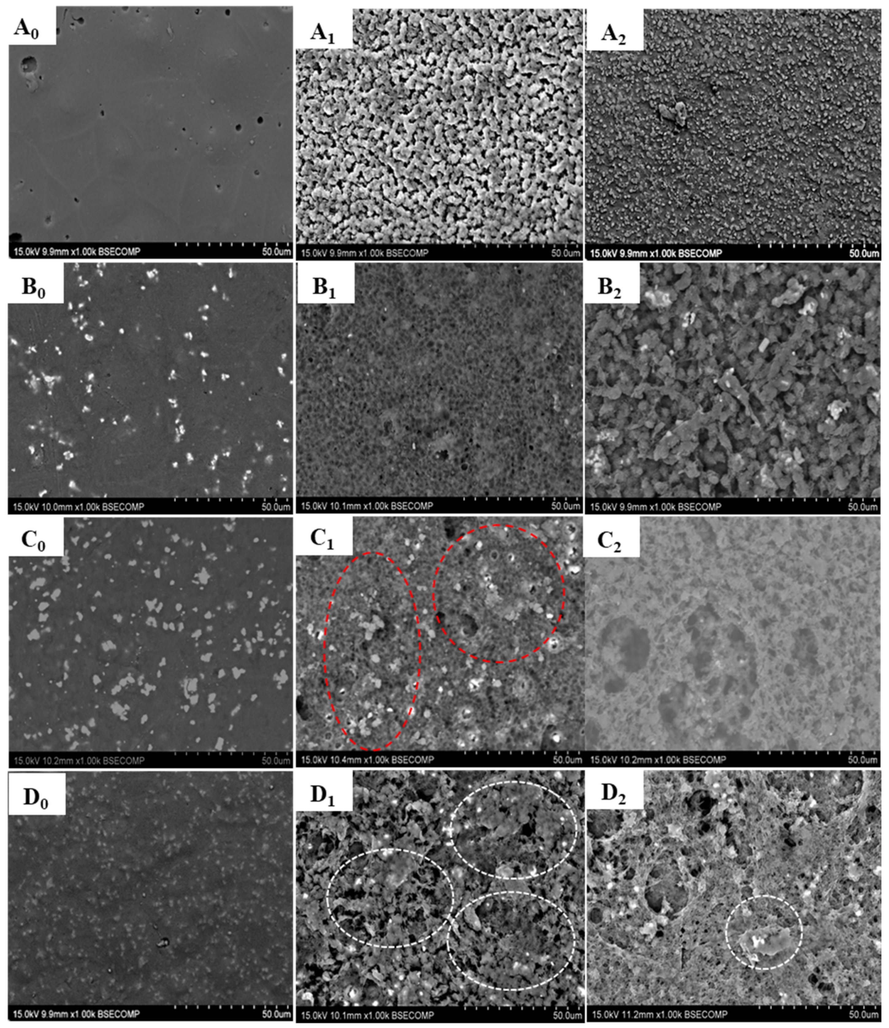 Polymers 16 00719 g002
