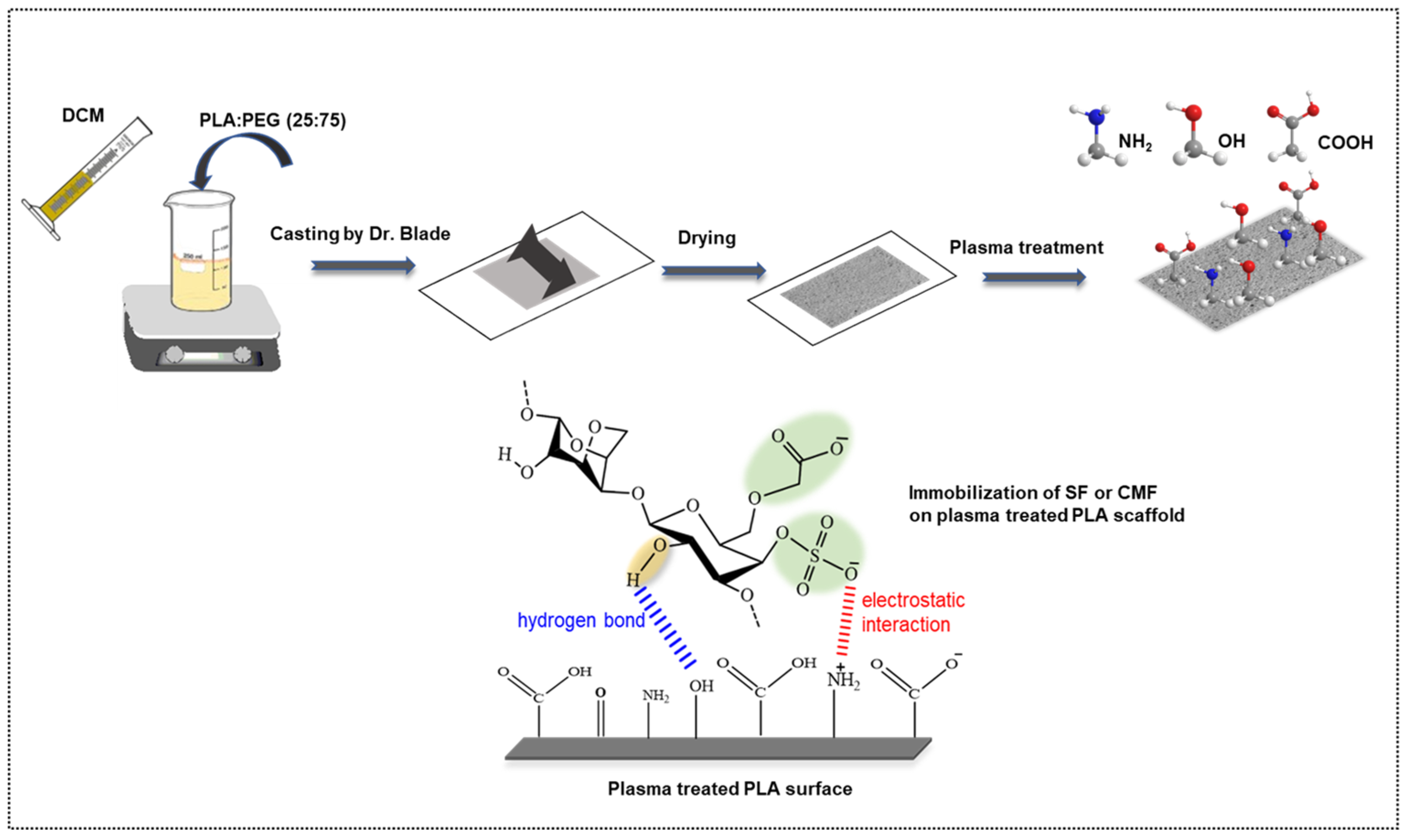 Polymers 16 00720 g001