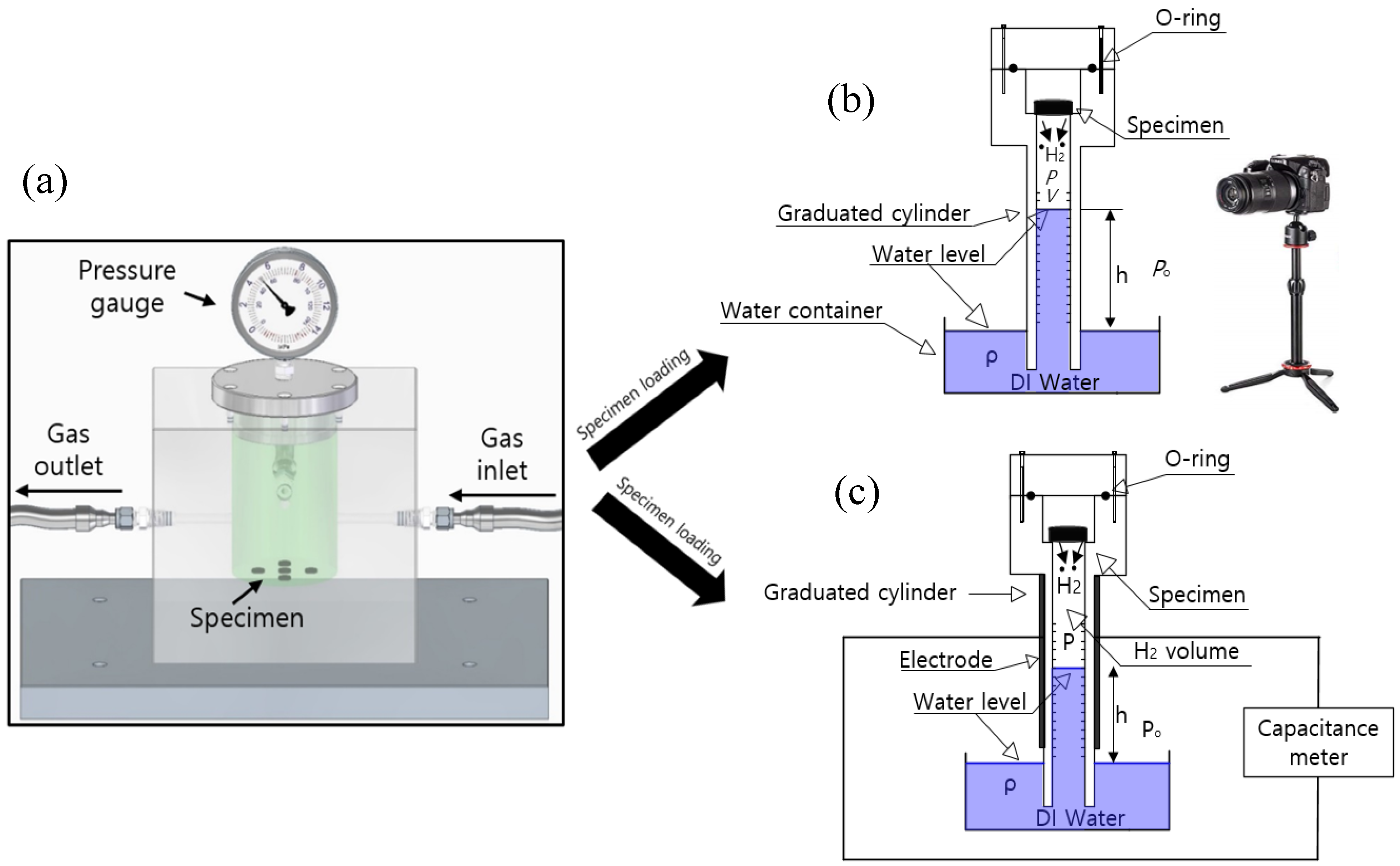 Polymers 16 00723 g003