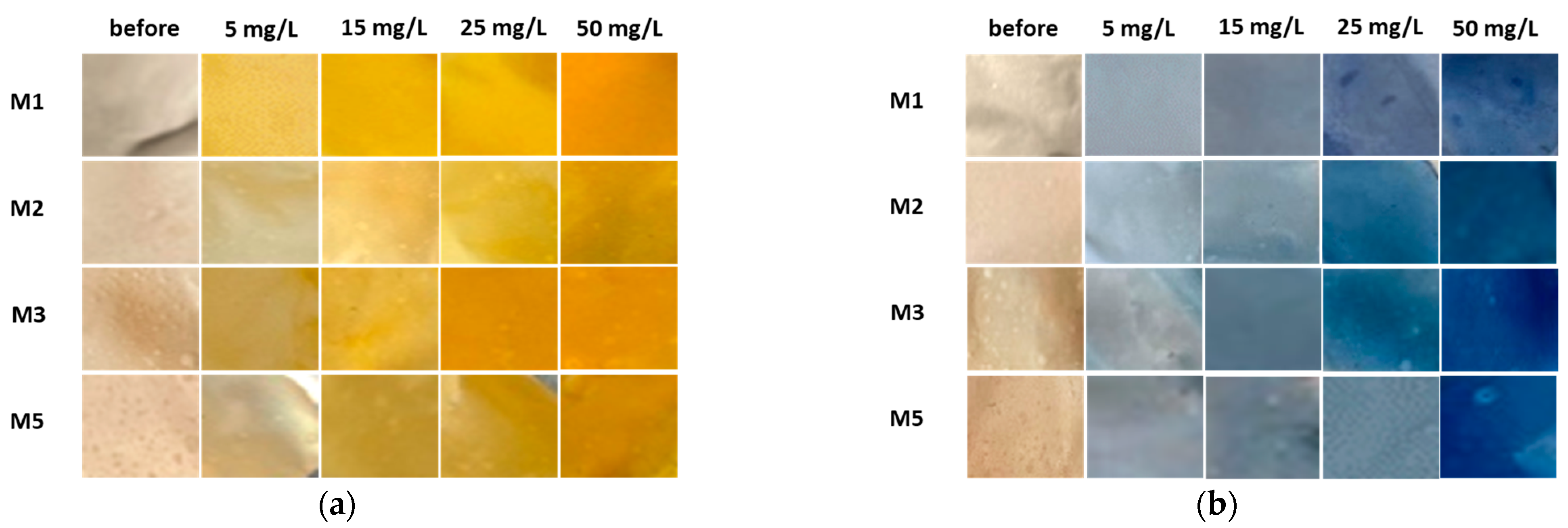 Polymers 16 00724 g008