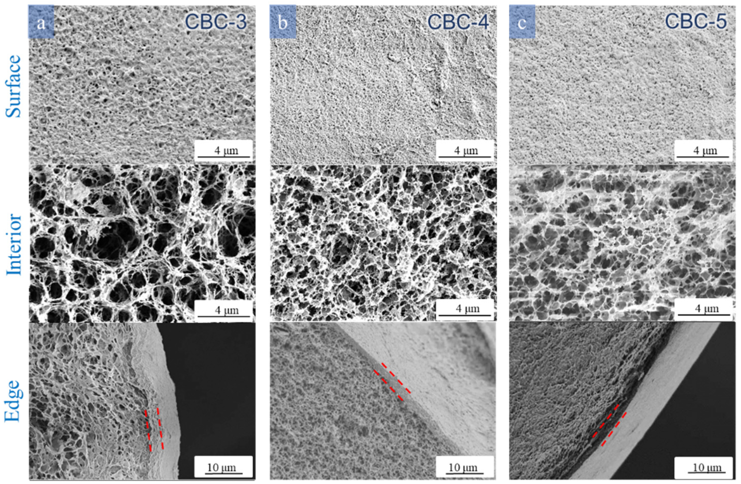 Polymers 16 00725 g003