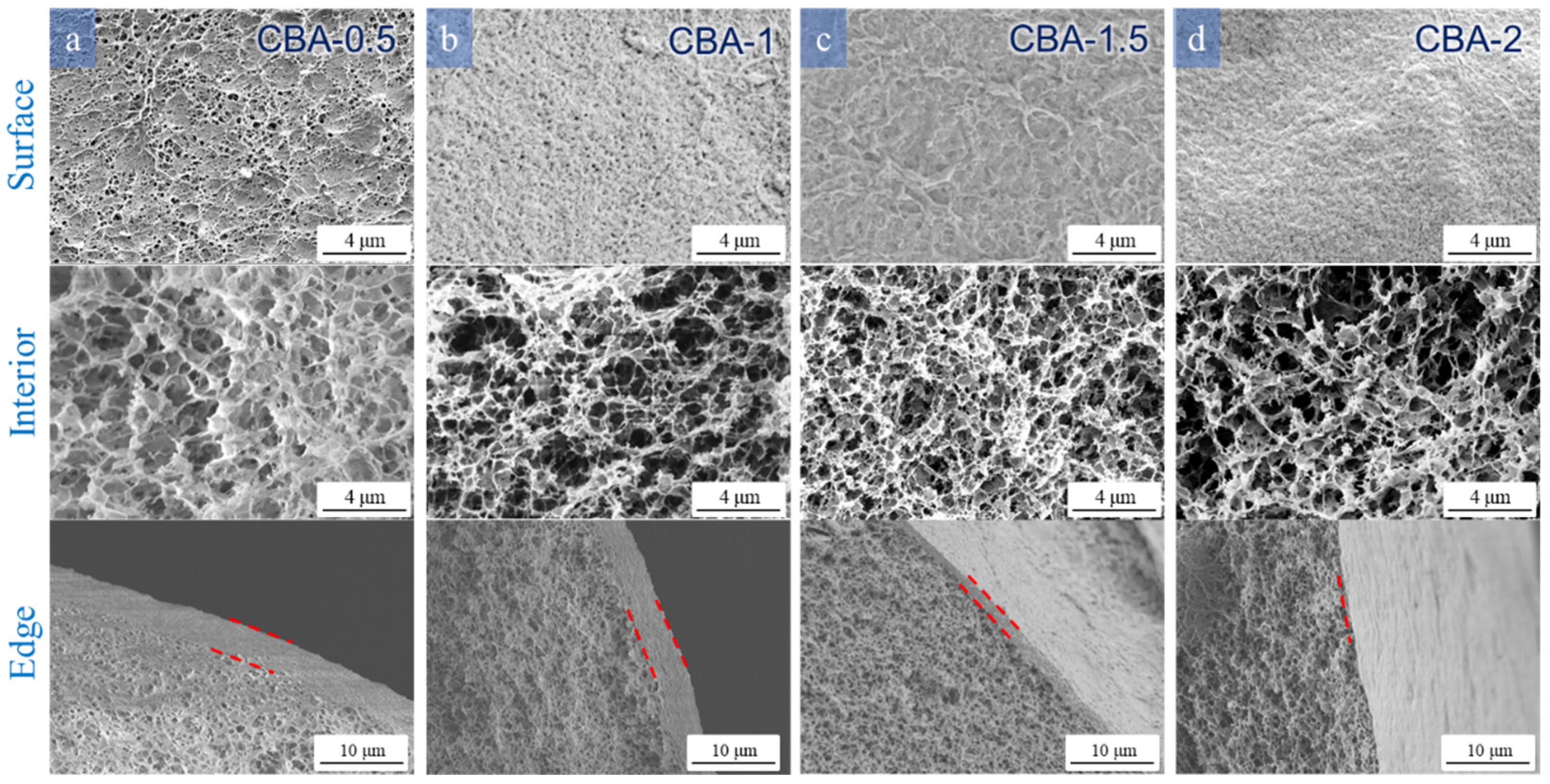 Polymers 16 00725 g004