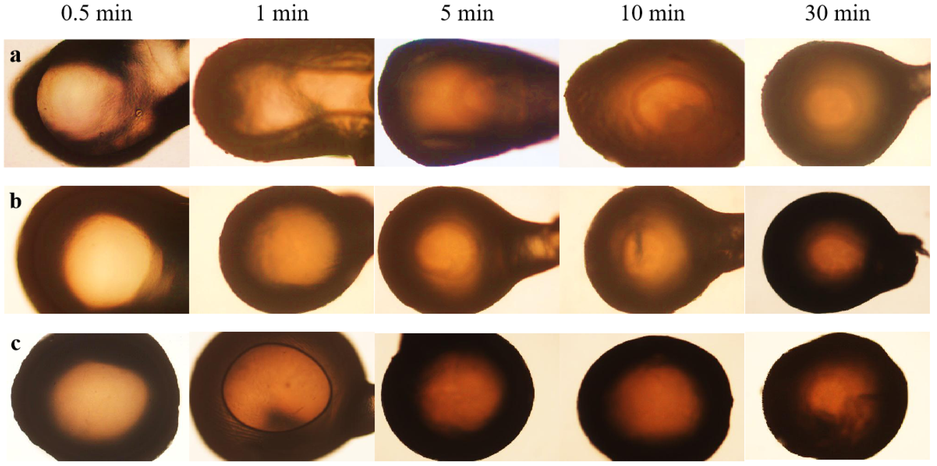 Polymers 16 00725 g005