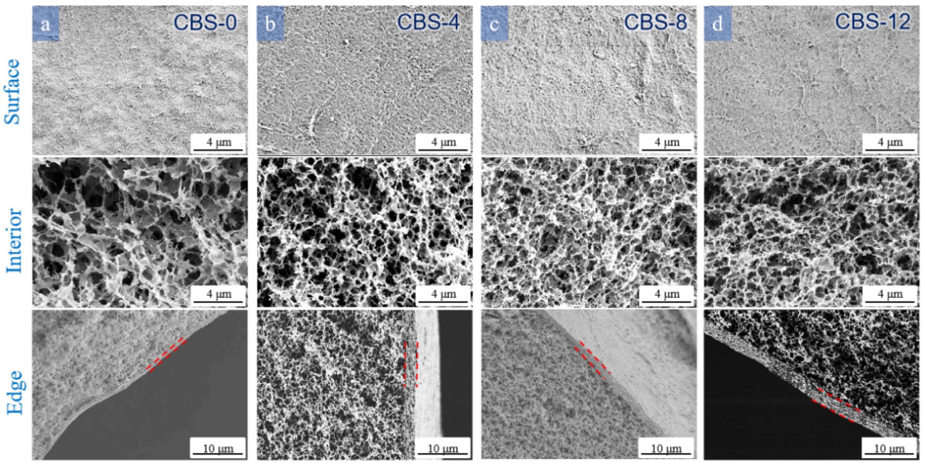 Polymers 16 00725 g006