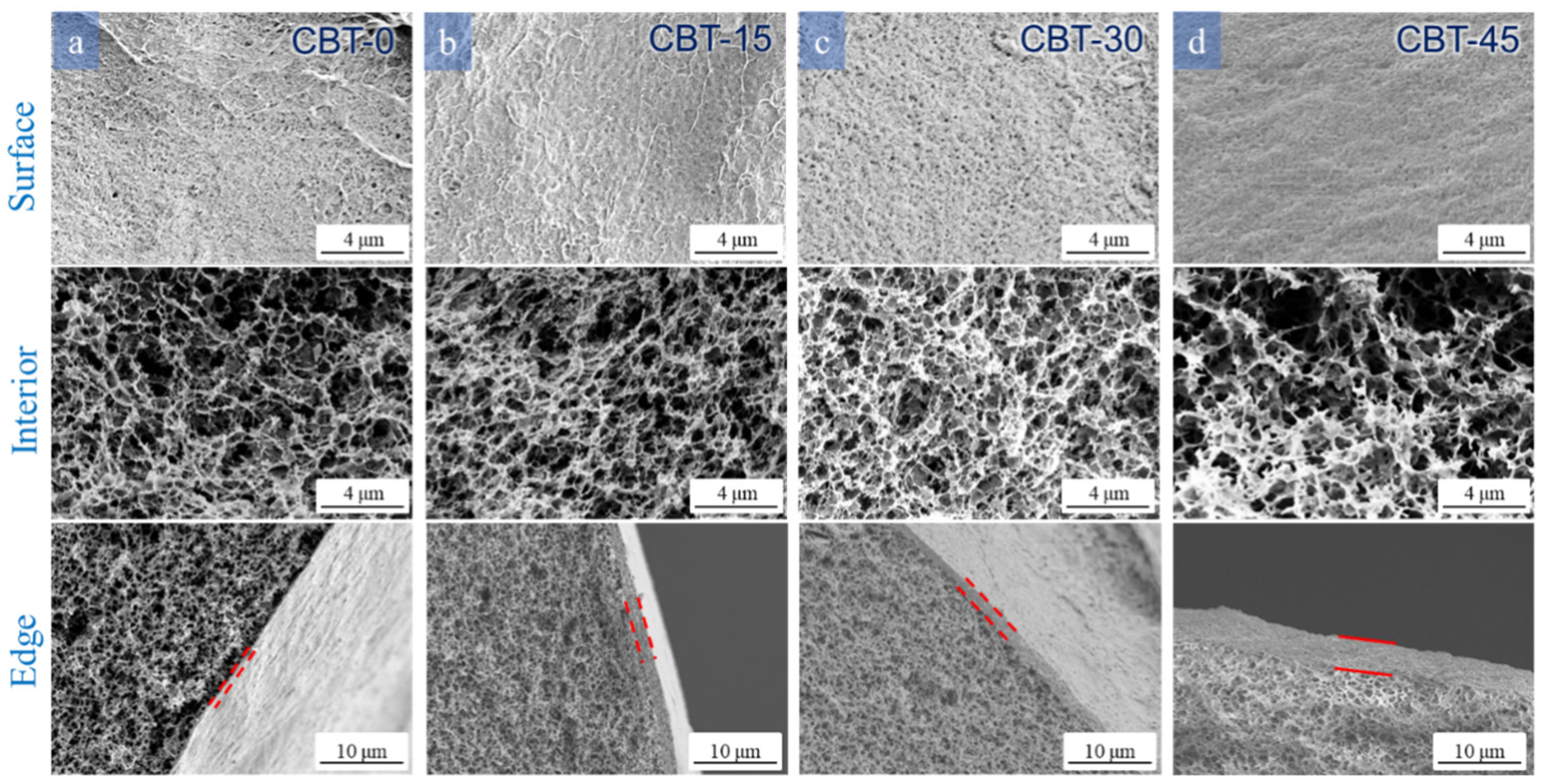 Polymers 16 00725 g007
