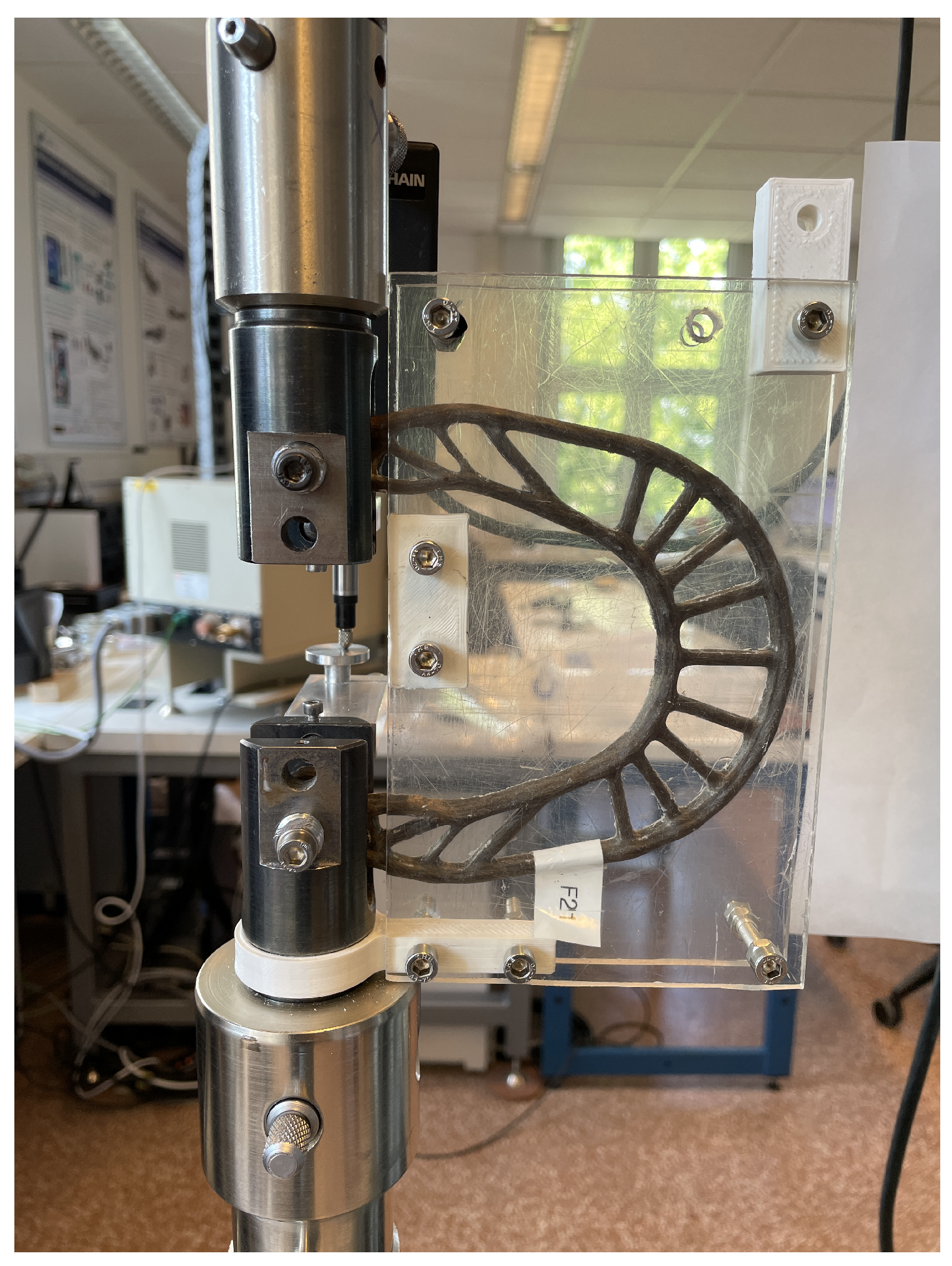 Polymers 16 00726 g007