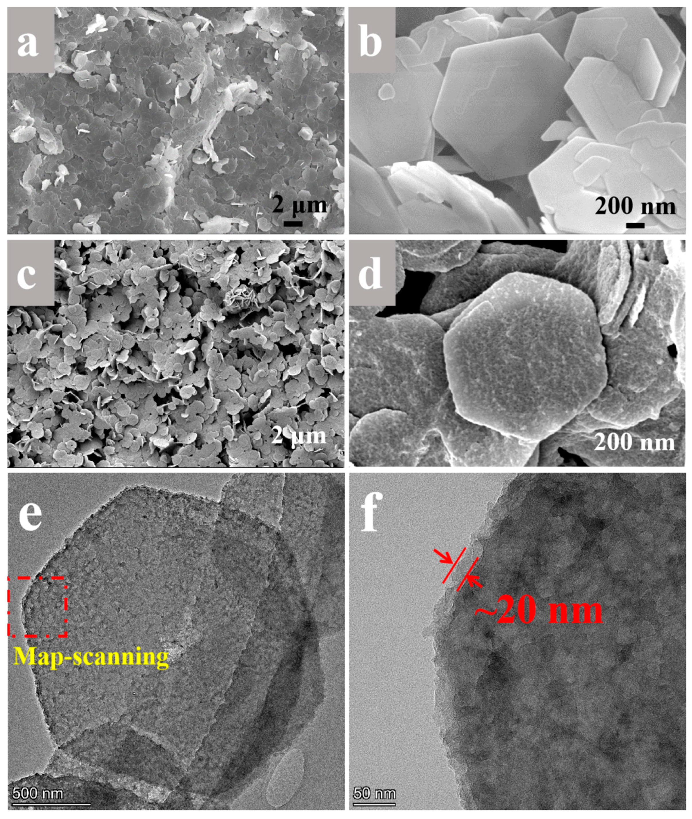 Polymers 16 00727 g002