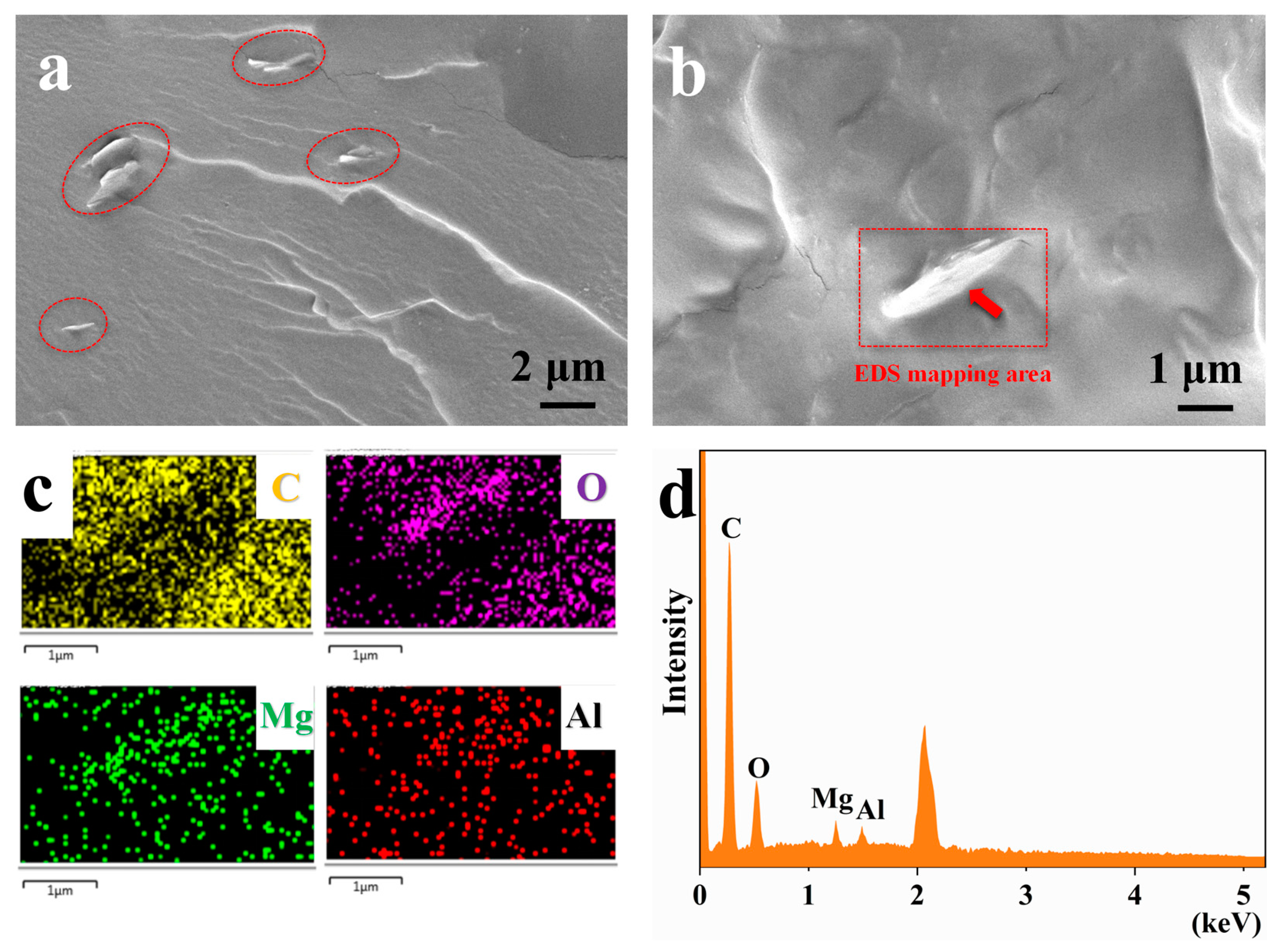 Polymers 16 00727 g008