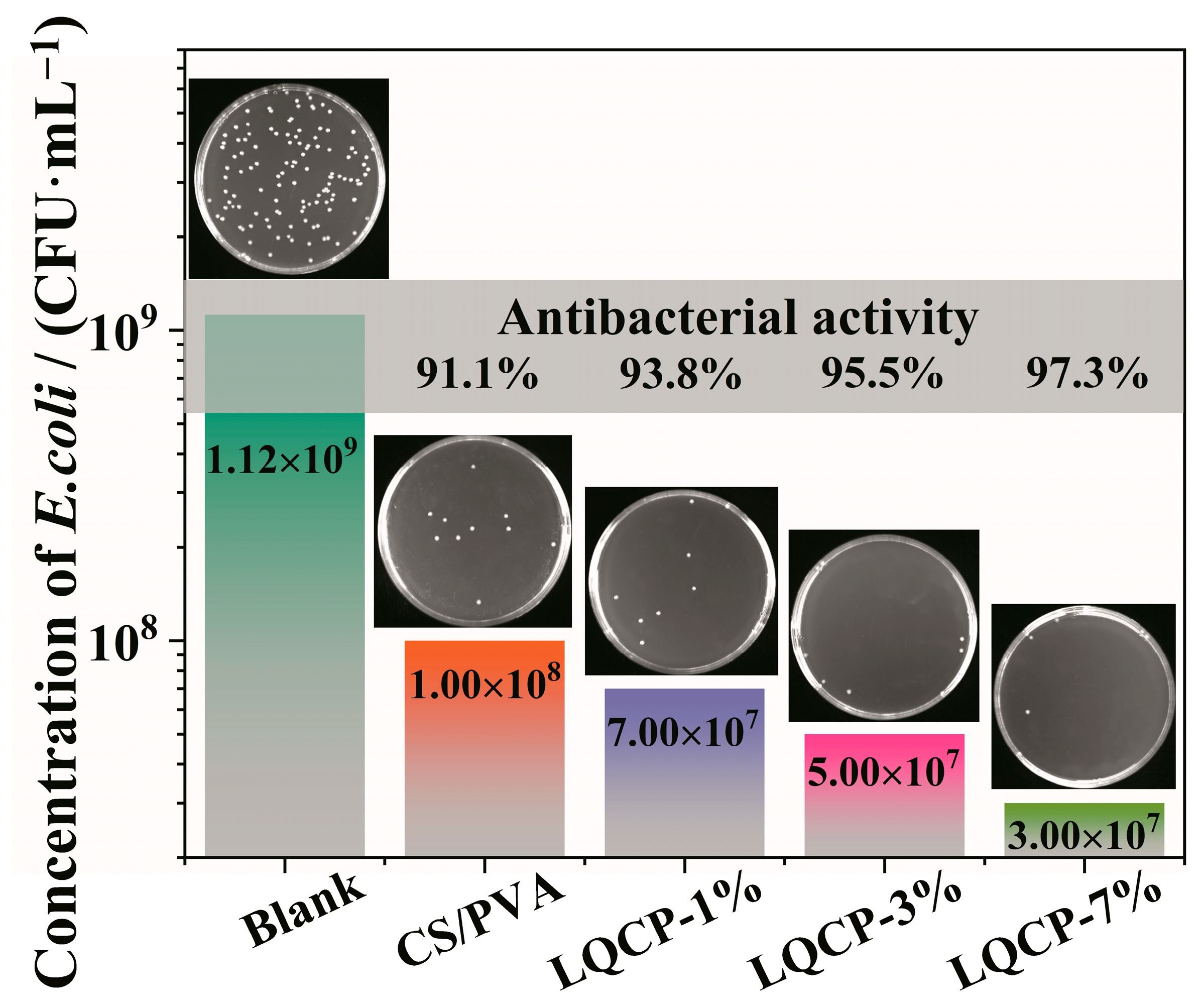 Polymers 16 00727 g010