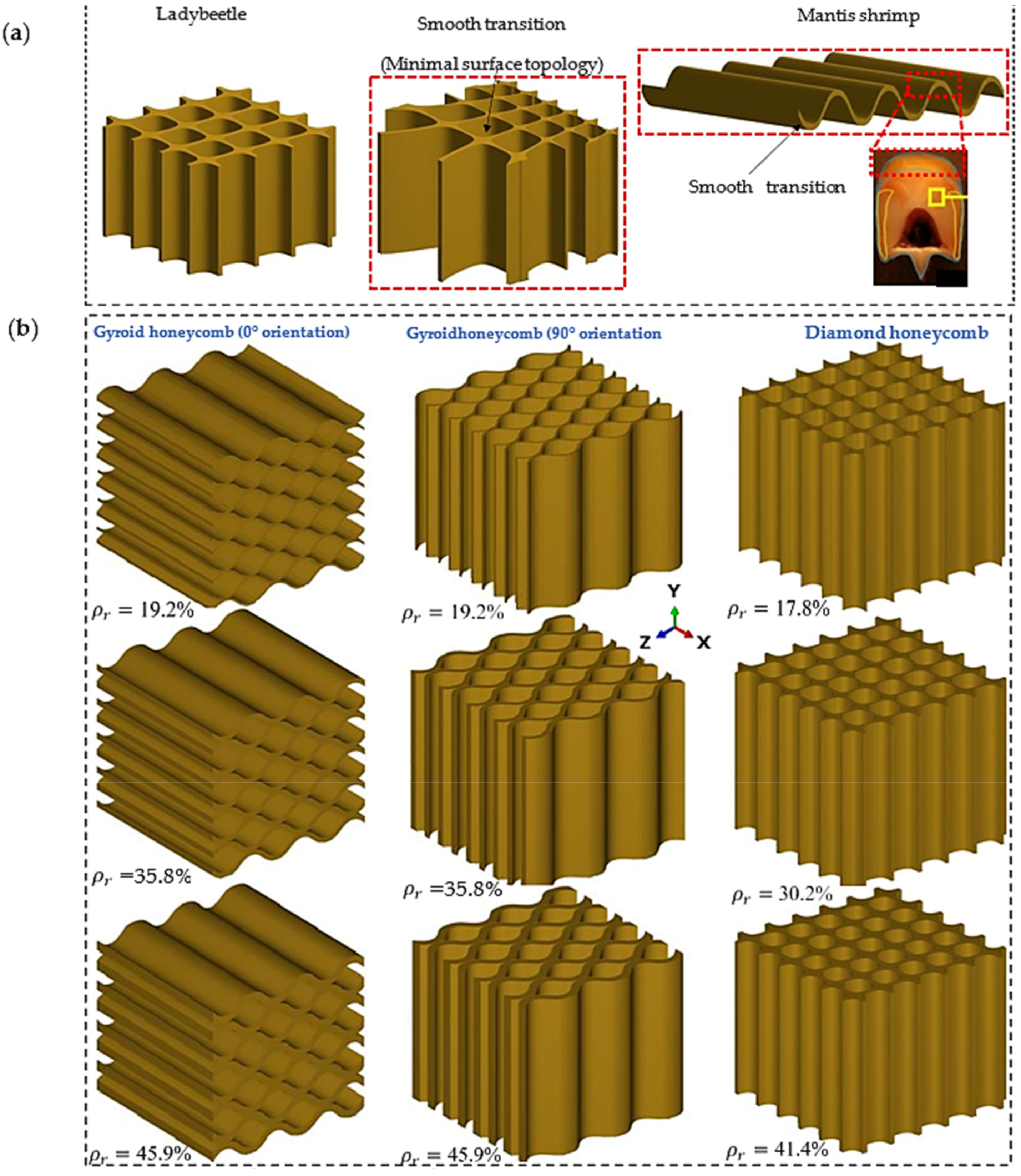 Polymers 16 00729 g001