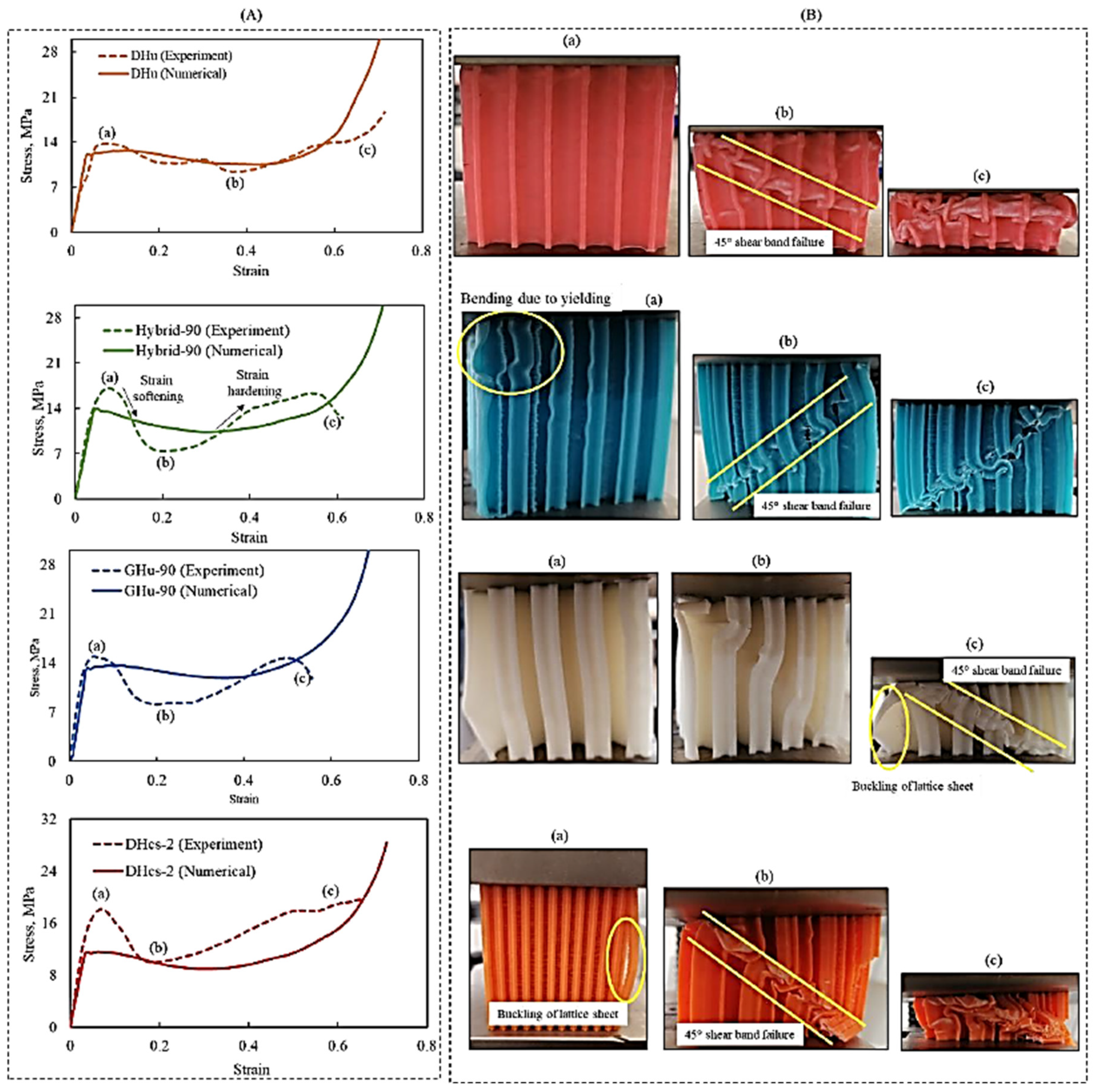 Polymers 16 00729 g008