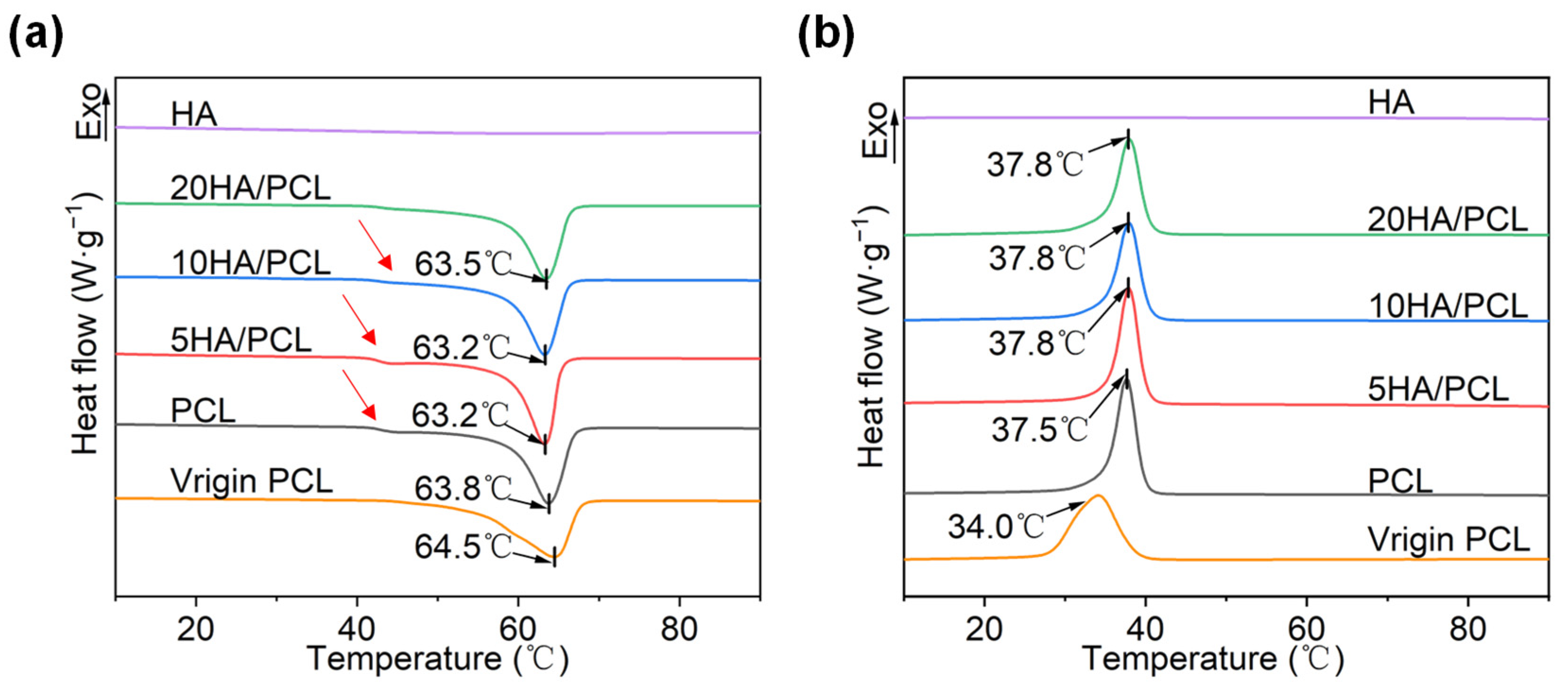 Polymers 16 00731 g003