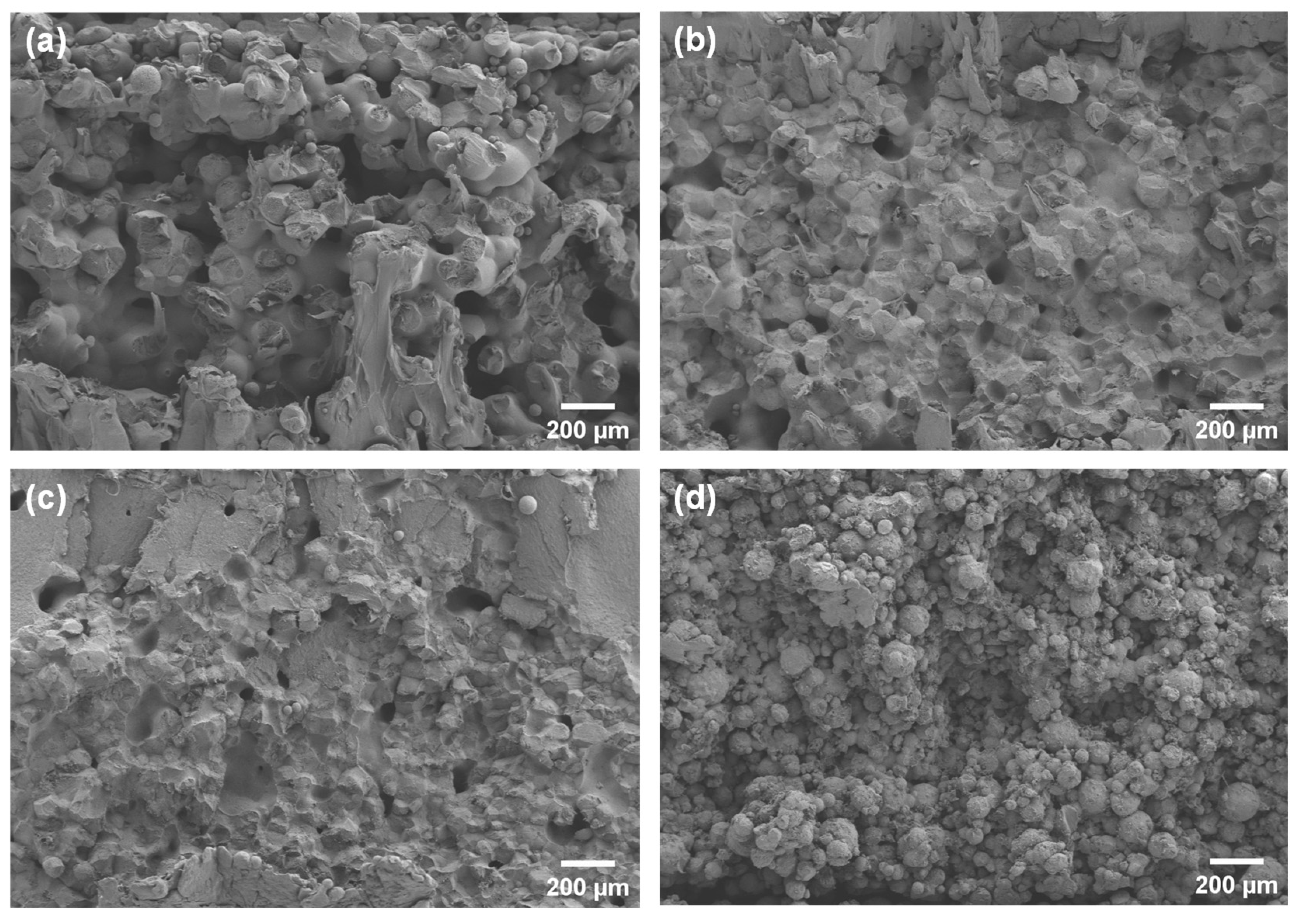 Polymers 16 00731 g007