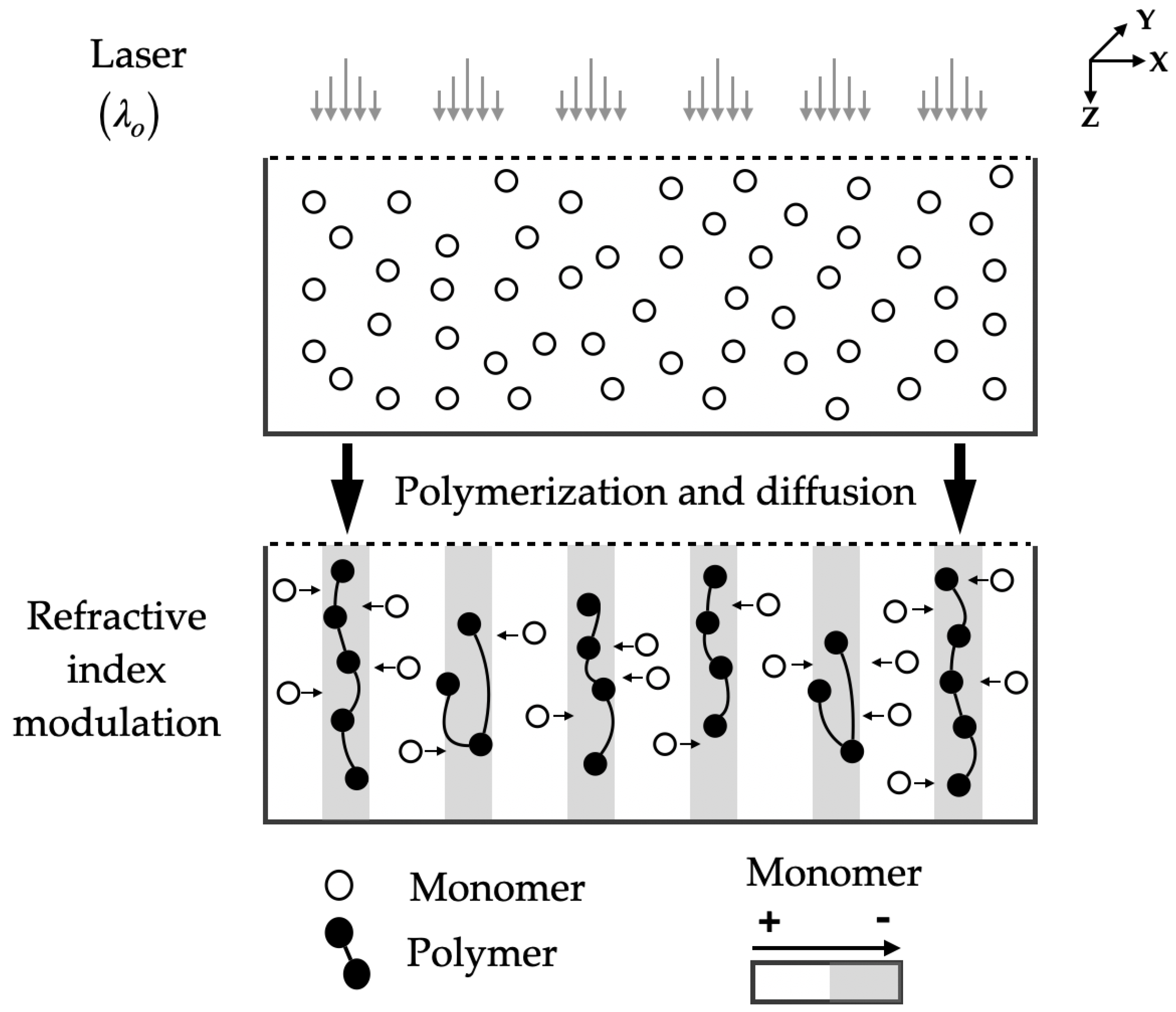 Polymers 16 00732 g008
