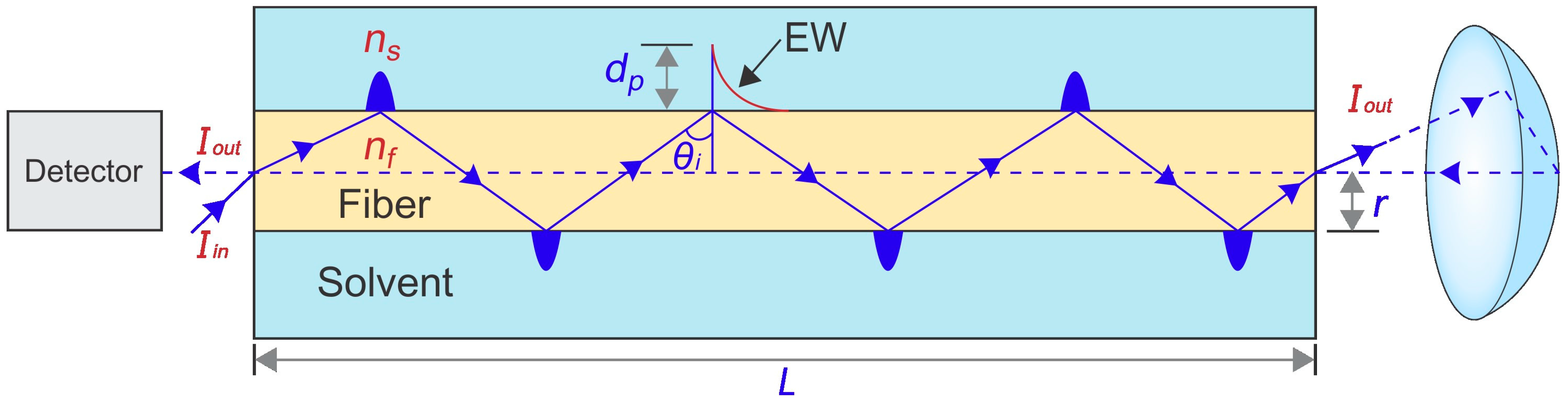 Polymers 16 00733 g002