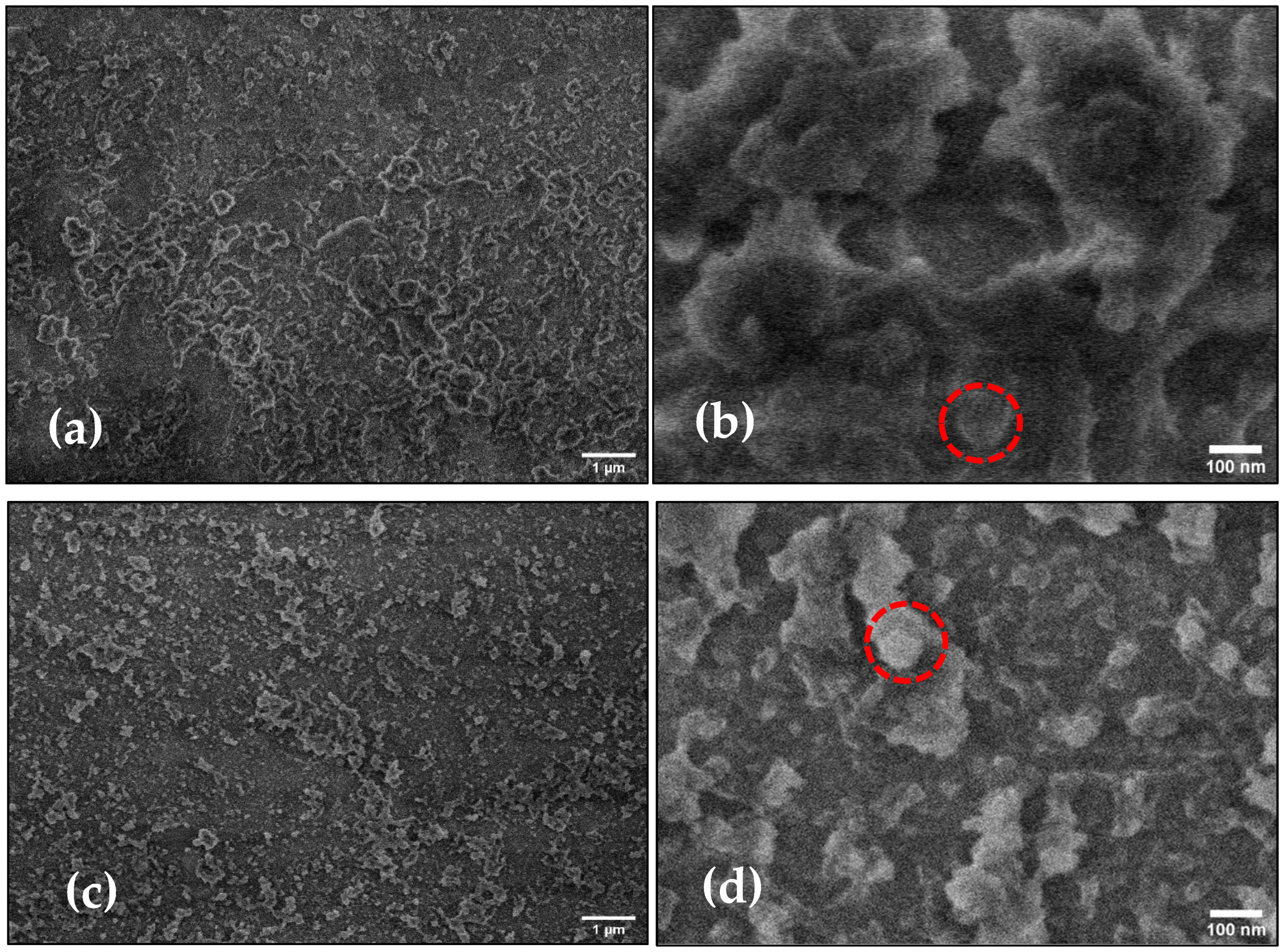 Polymers 16 00733 g003
