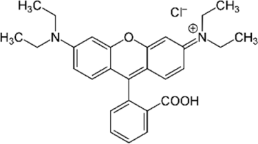 Polymers 16 00733 i004