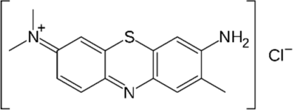Polymers 16 00733 i005