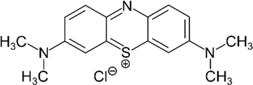 Polymers 16 00733 i006