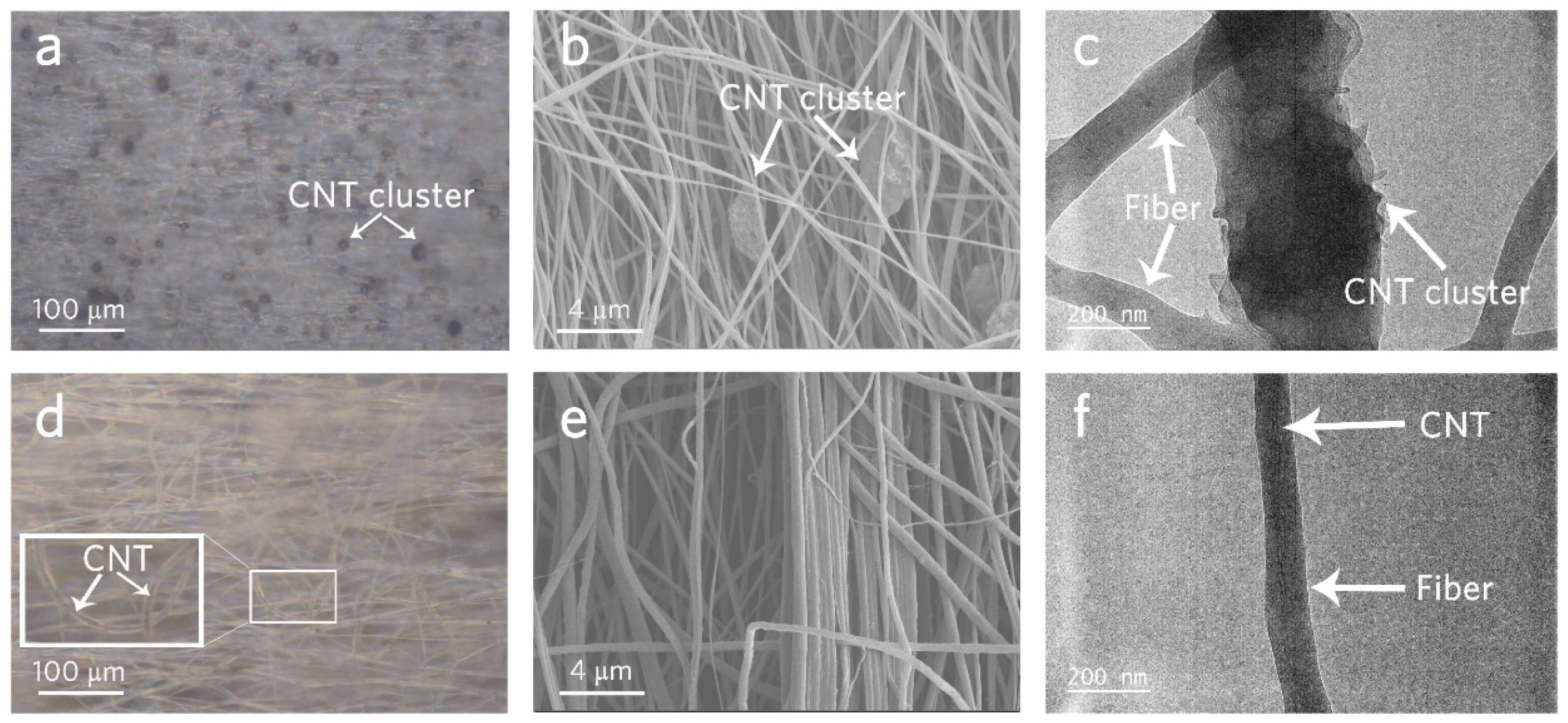 Polymers 16 00734 g004