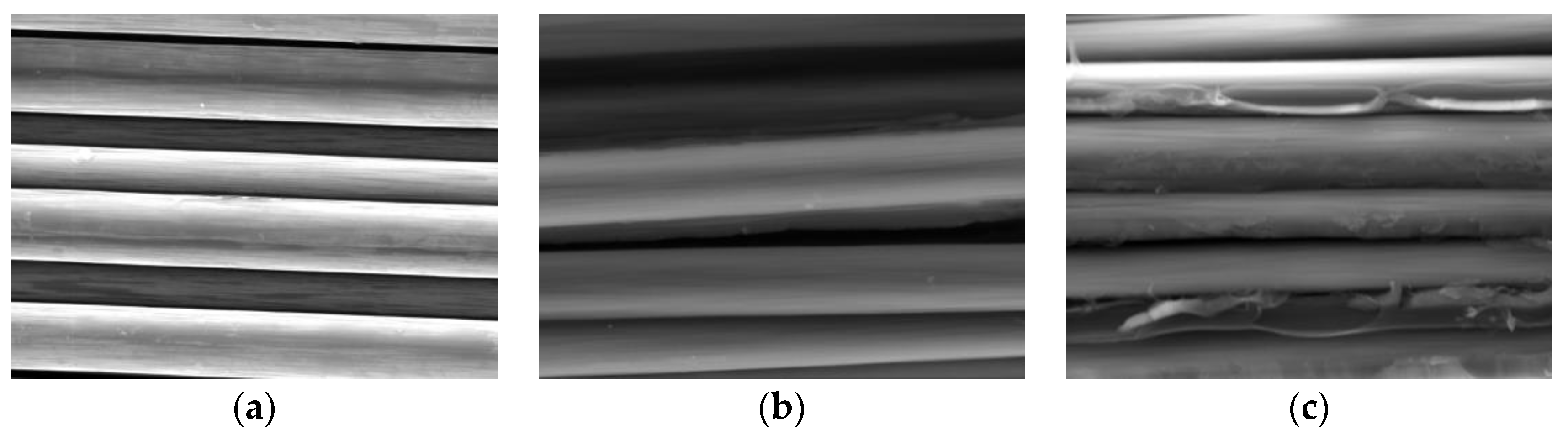 Polymers 16 00742 g007