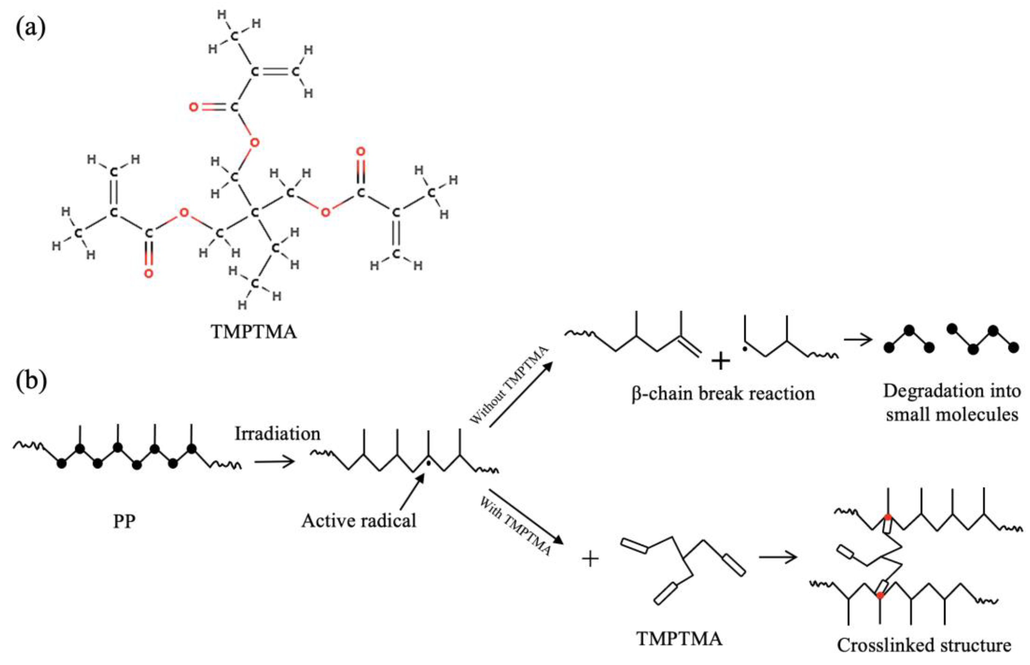 Polymers 16 00745 g002