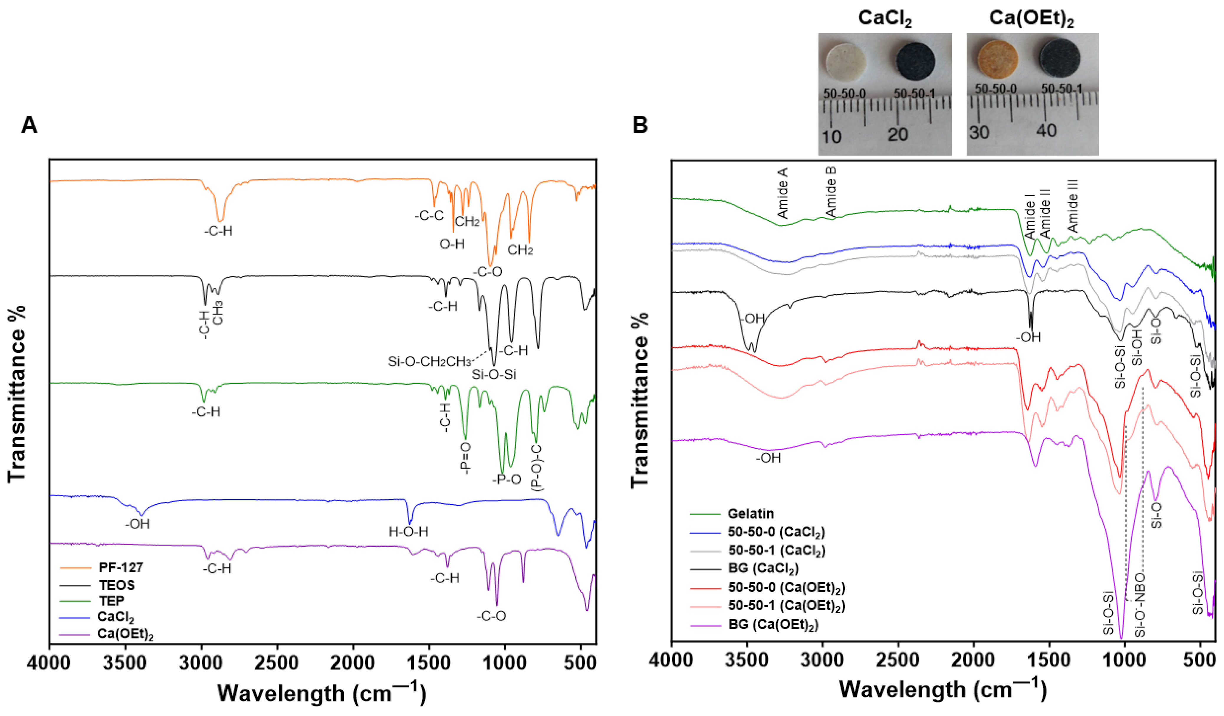 Polymers 16 00747 g001 Polymers 16 00747 g001