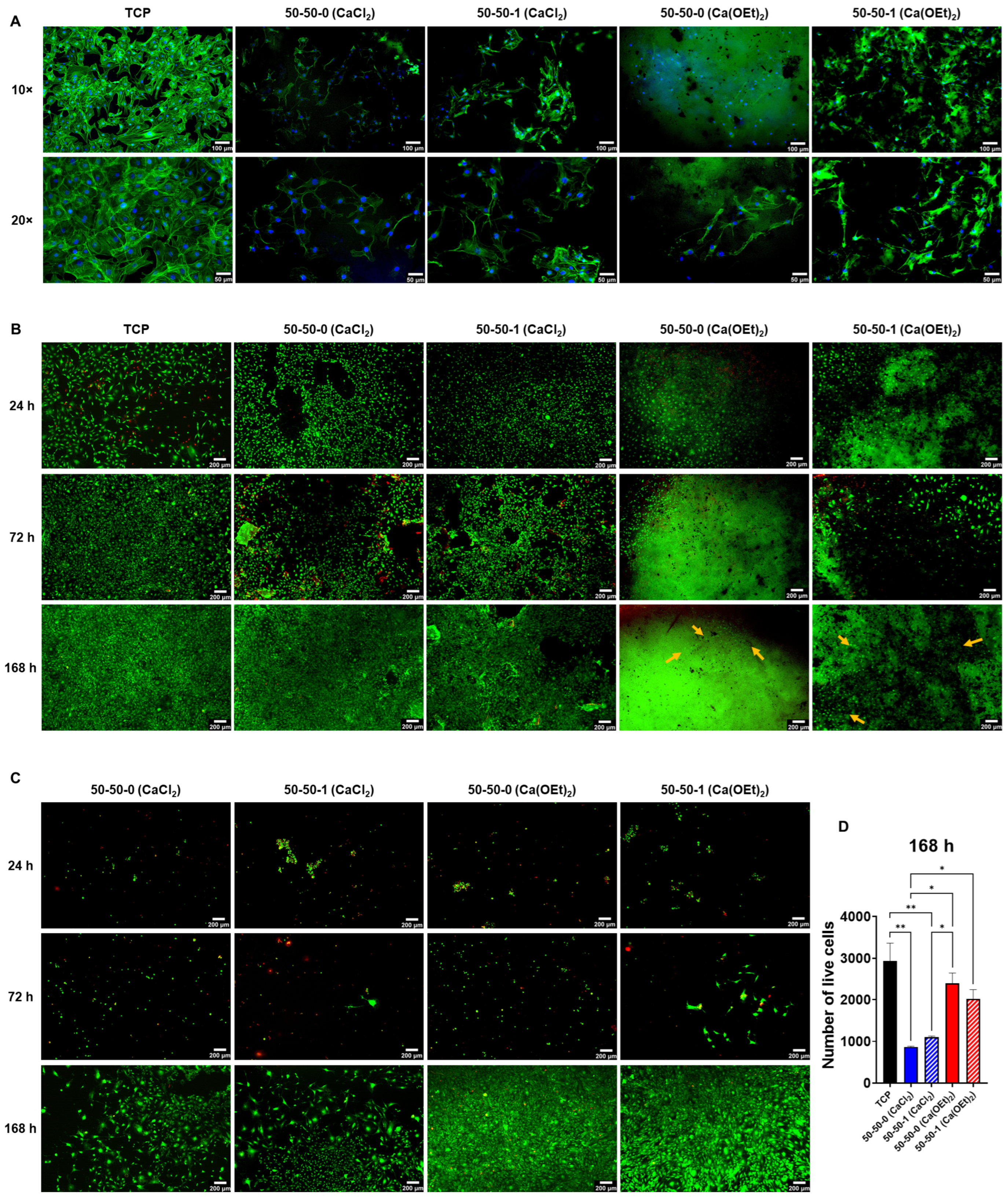 Polymers 16 00747 g007 Polymers 16 00747 g007