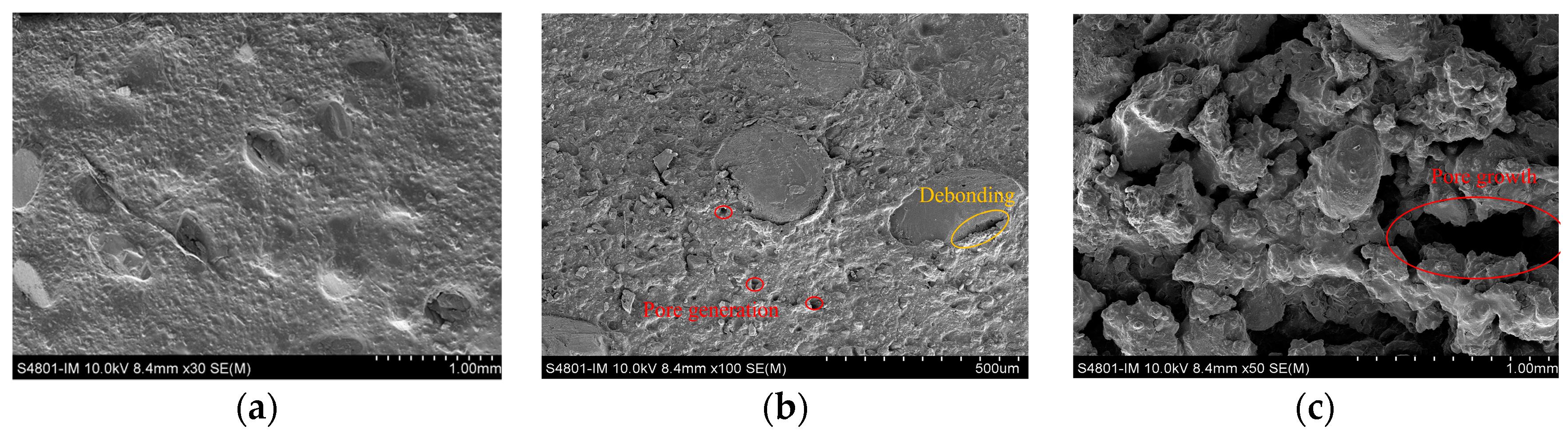 Polymers 16 00748 g012