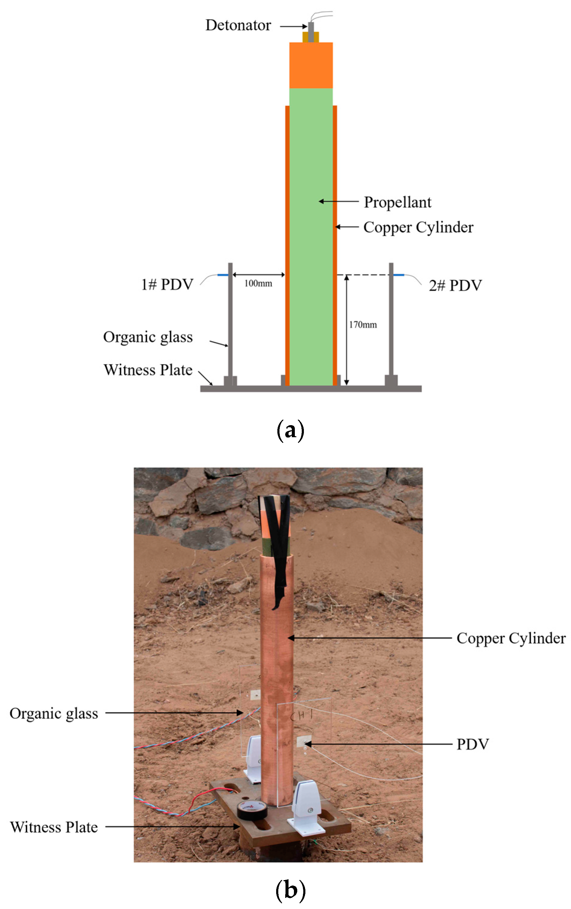 Polymers 16 00748 g014