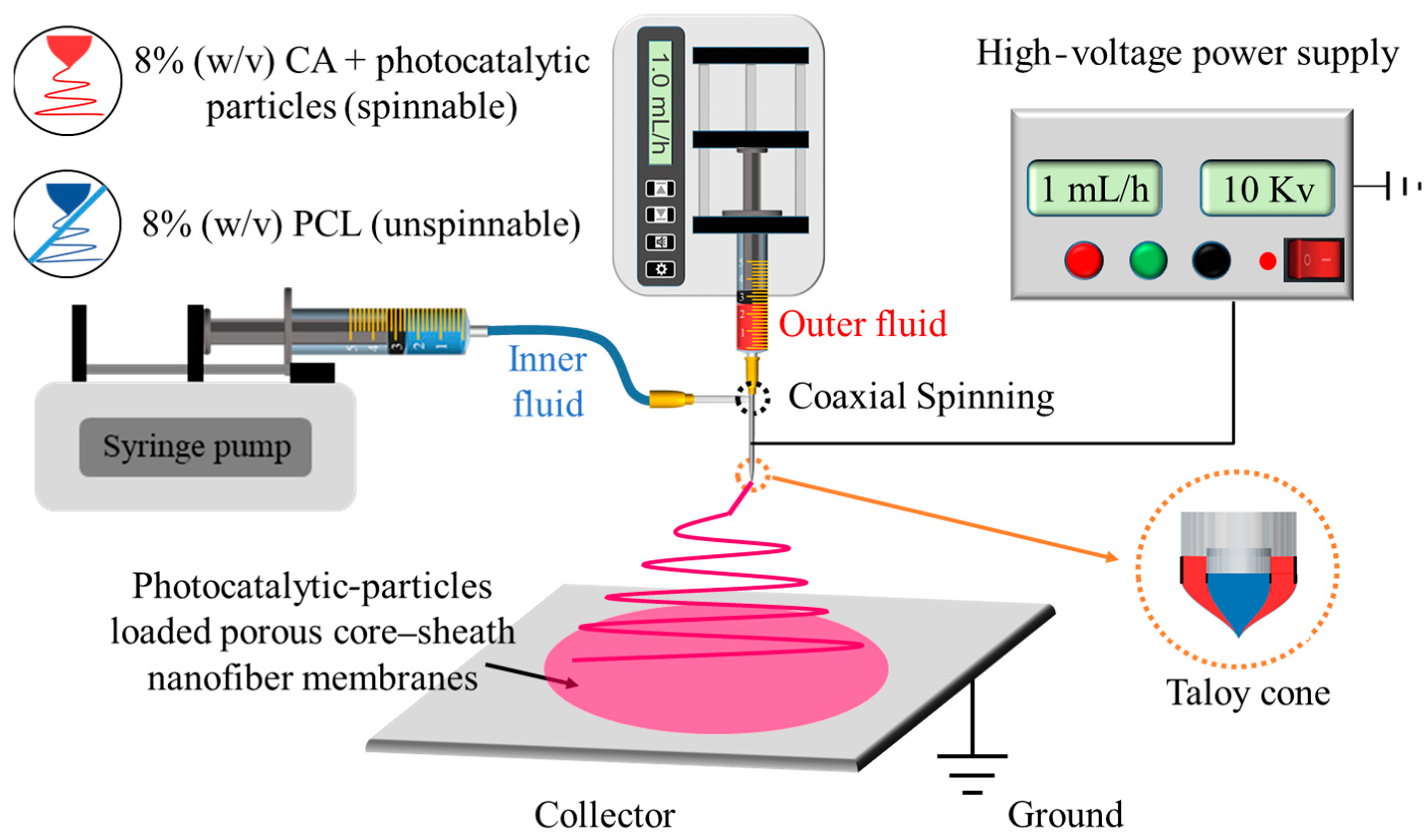 Polymers 16 00754 g002